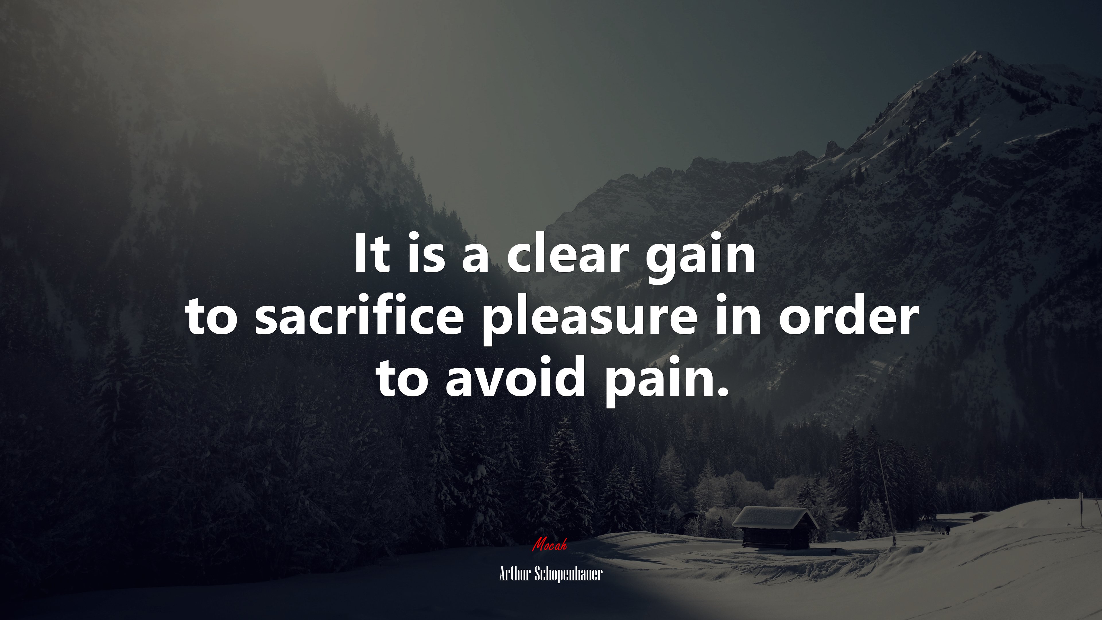 It is a clear gain to sacrifice pleasure in order to avoid pain. | Arthur Schopenhauer quote HD Wallpaper