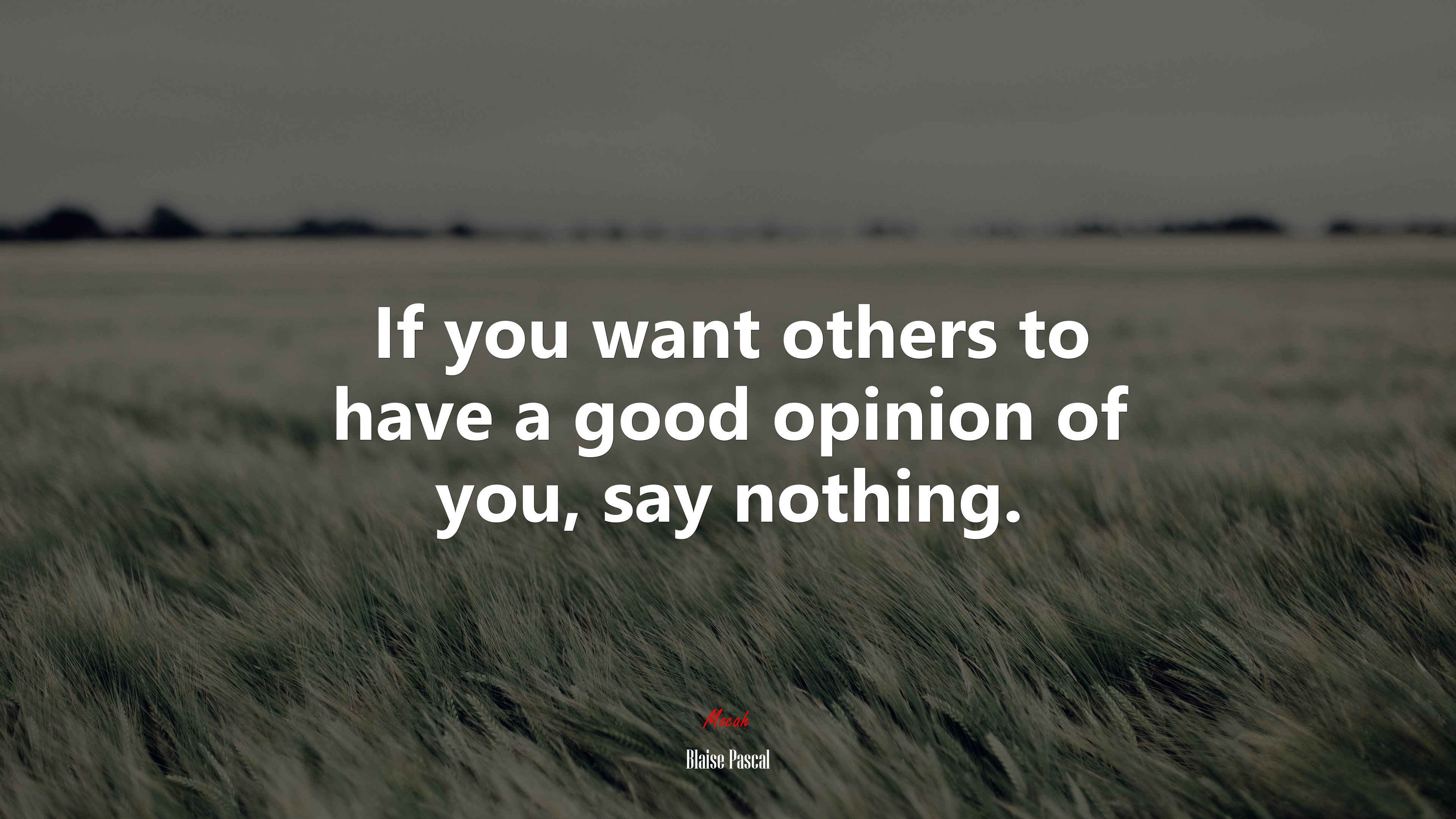If you want others to have a good opinion of you, say nothing. | Blaise Pascal quote HD Wallpaper