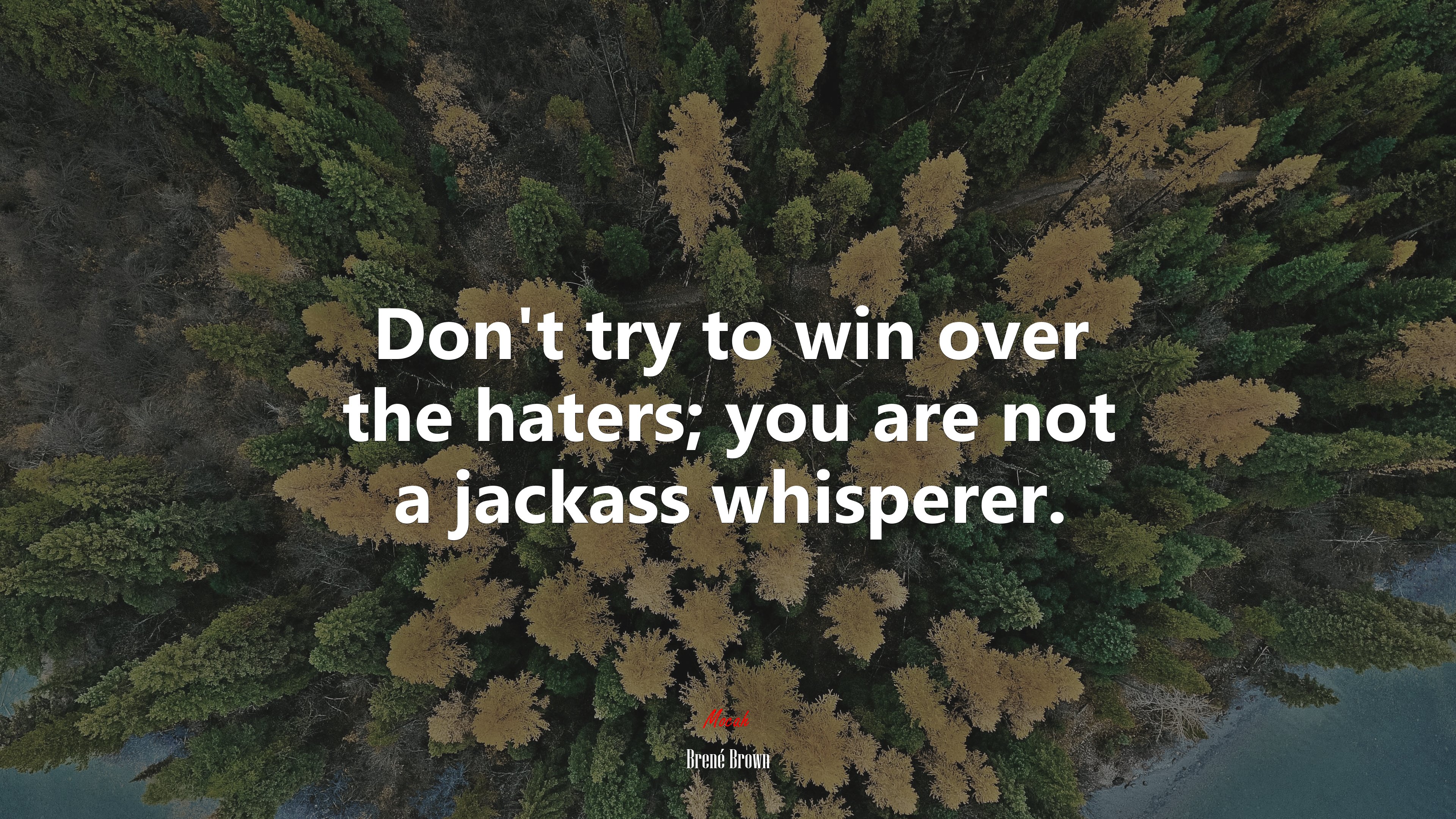 Don’t try to win over the haters; you are not a jackass whisperer. | Brené Brown quote HD Wallpaper