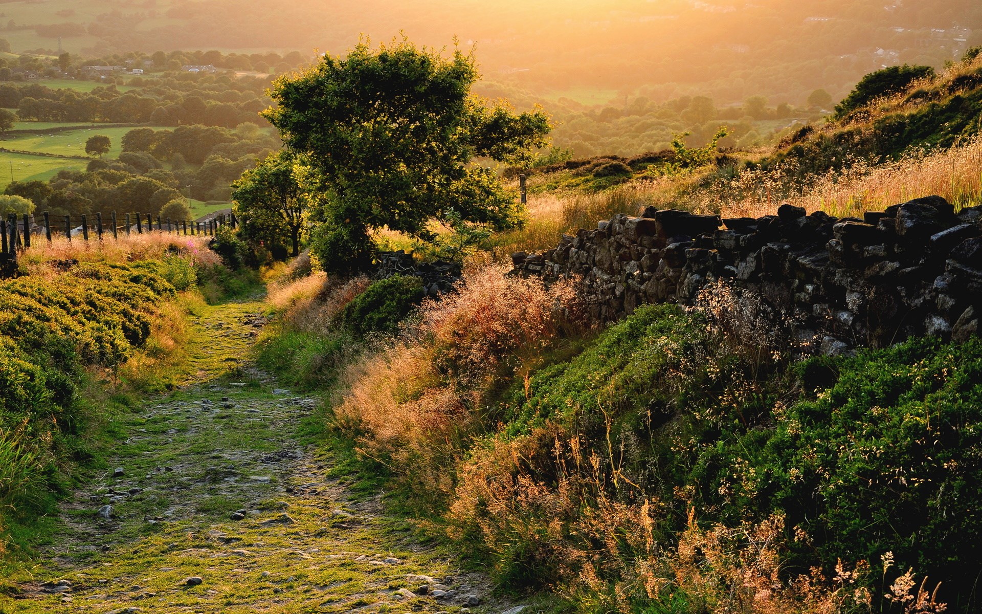Stone path through a grassy hillside at sunset HD Wallpaper