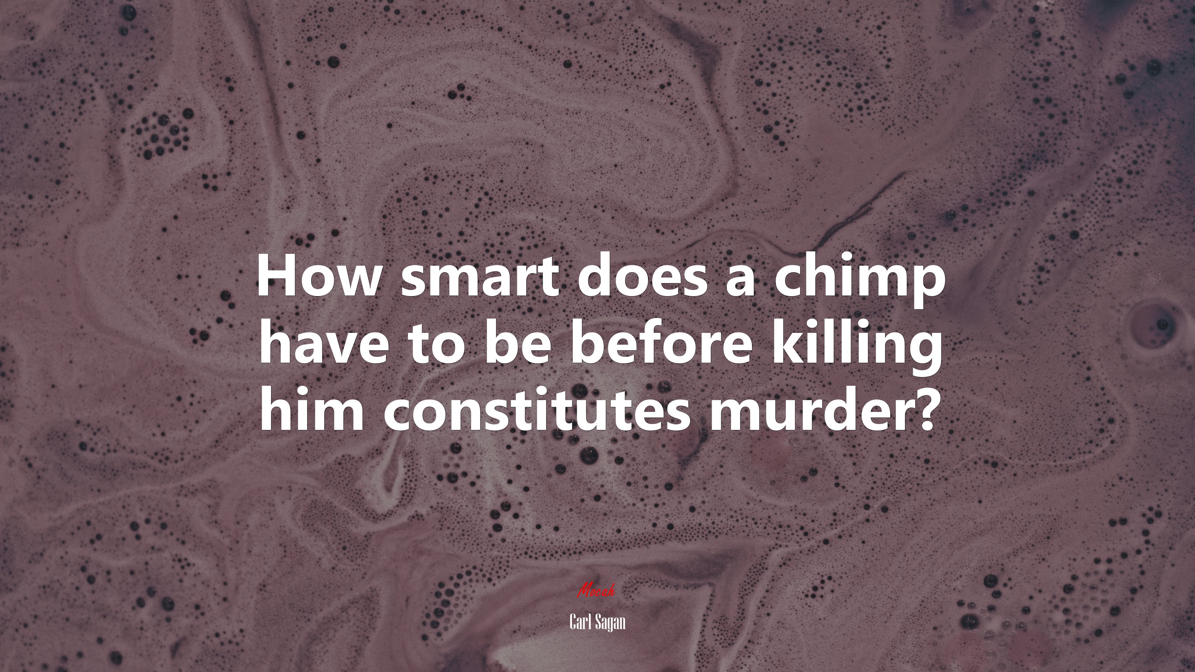 How smart does a chimp have to be before killing him constitutes murder? | Carl Sagan quote HD Wallpaper