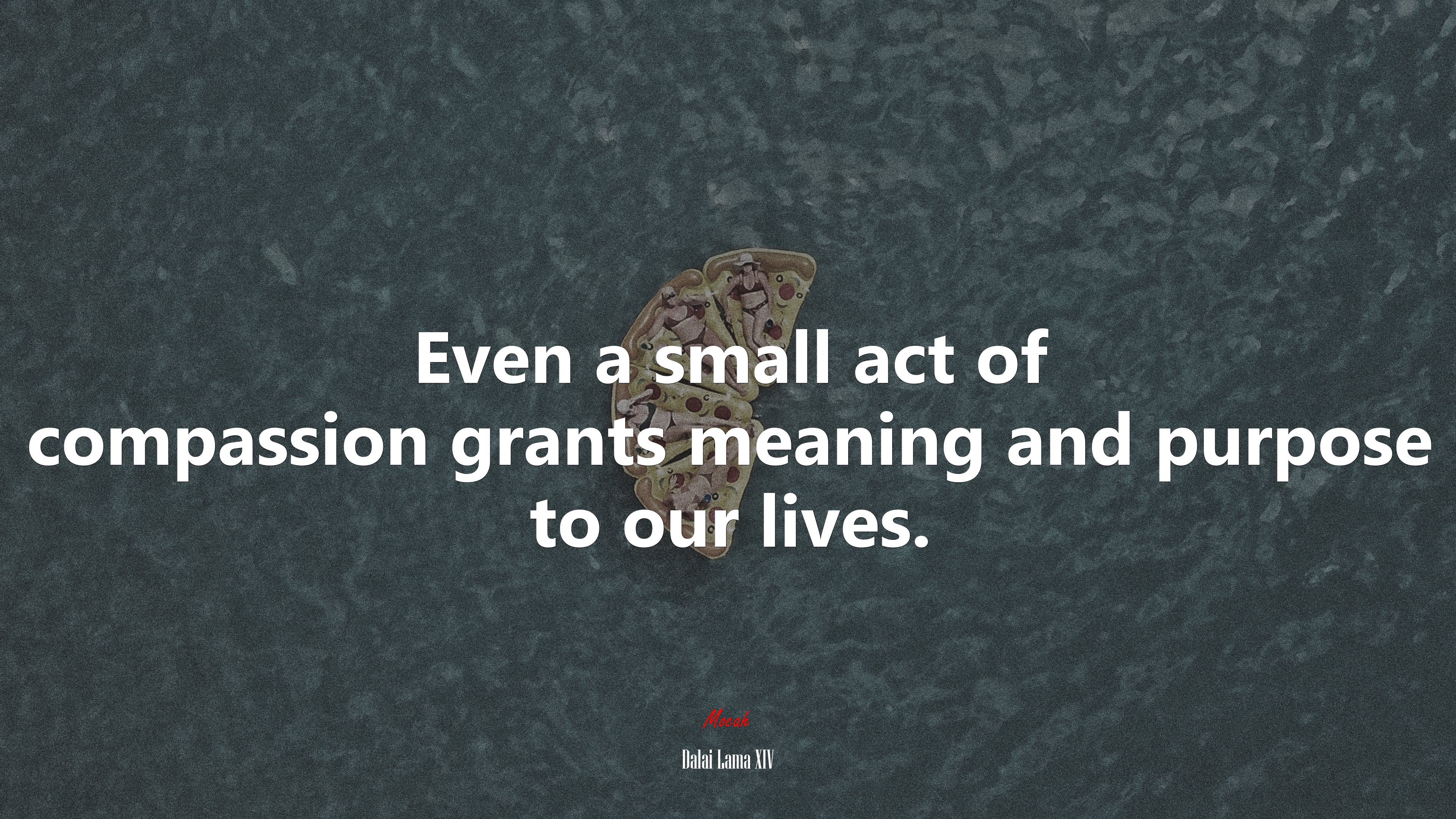 Even a small act of compassion grants meaning and purpose to our lives. | Dalai Lama XIV quote HD Wallpaper