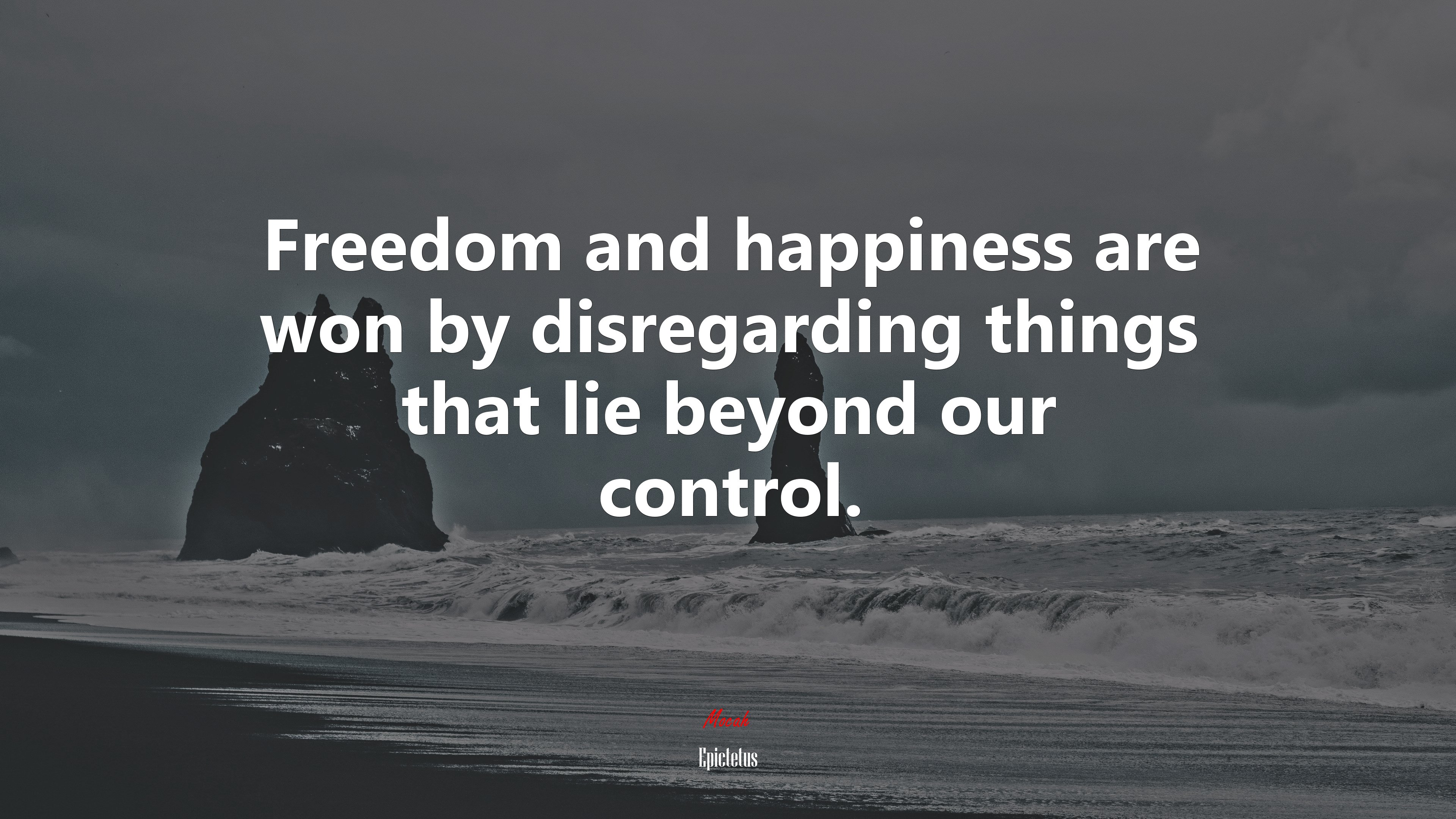 Freedom and happiness are won by disregarding things that lie beyond our control. | Epictetus quote HD Wallpaper