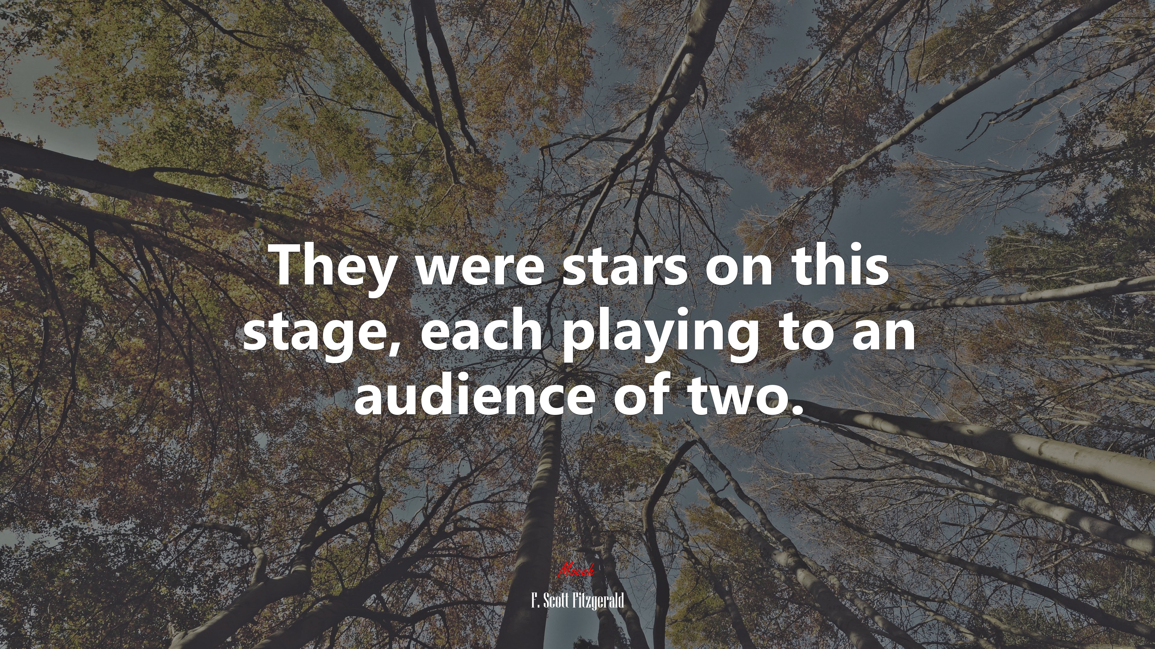 They were stars on this stage, each playing to an audience of two. | F. Scott Fitzgerald quote HD Wallpaper