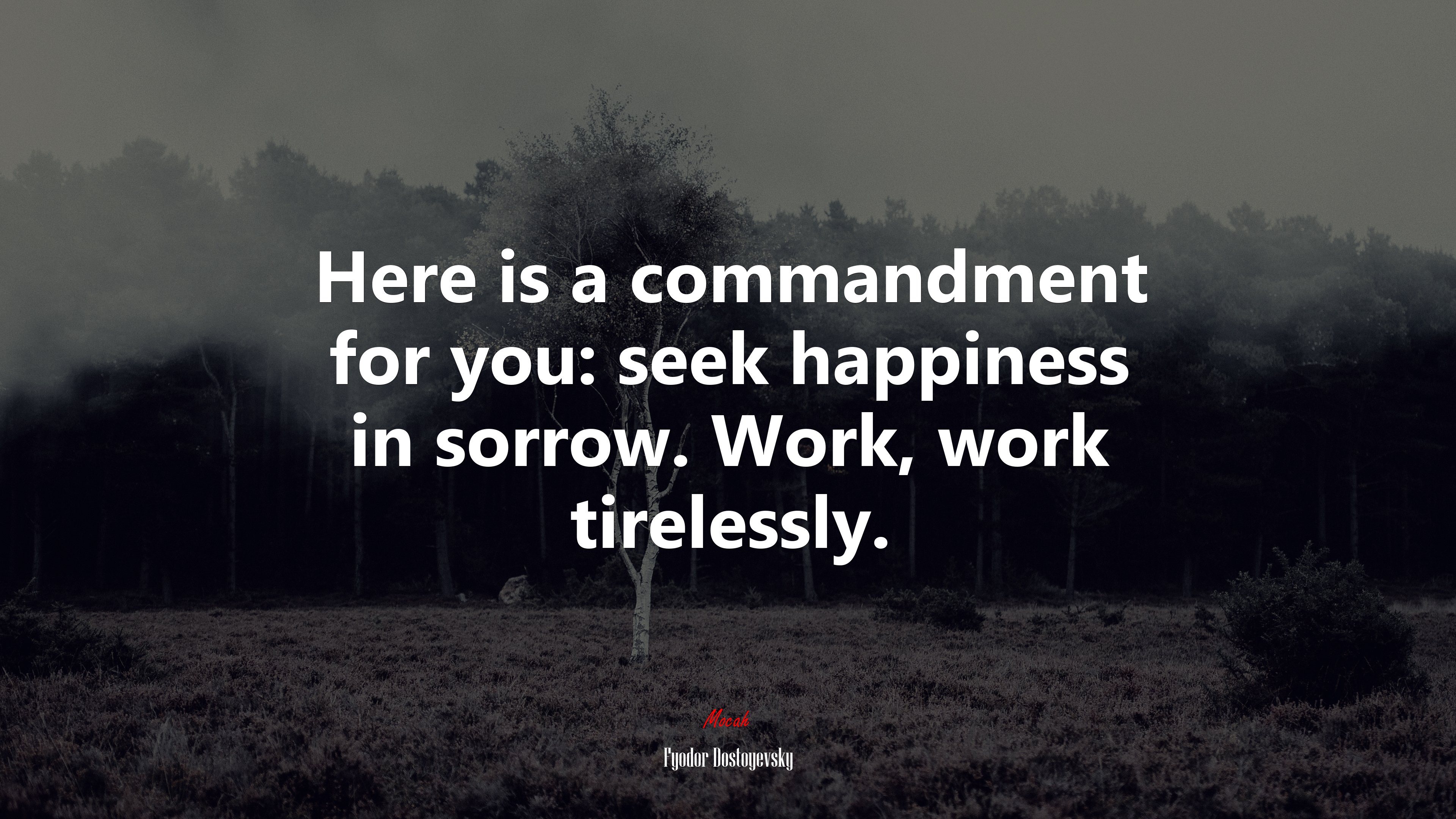 Here is a commandment for you: seek happiness in sorrow. Work, work tirelessly. | Fyodor Dostoyevsky quote HD Wallpaper