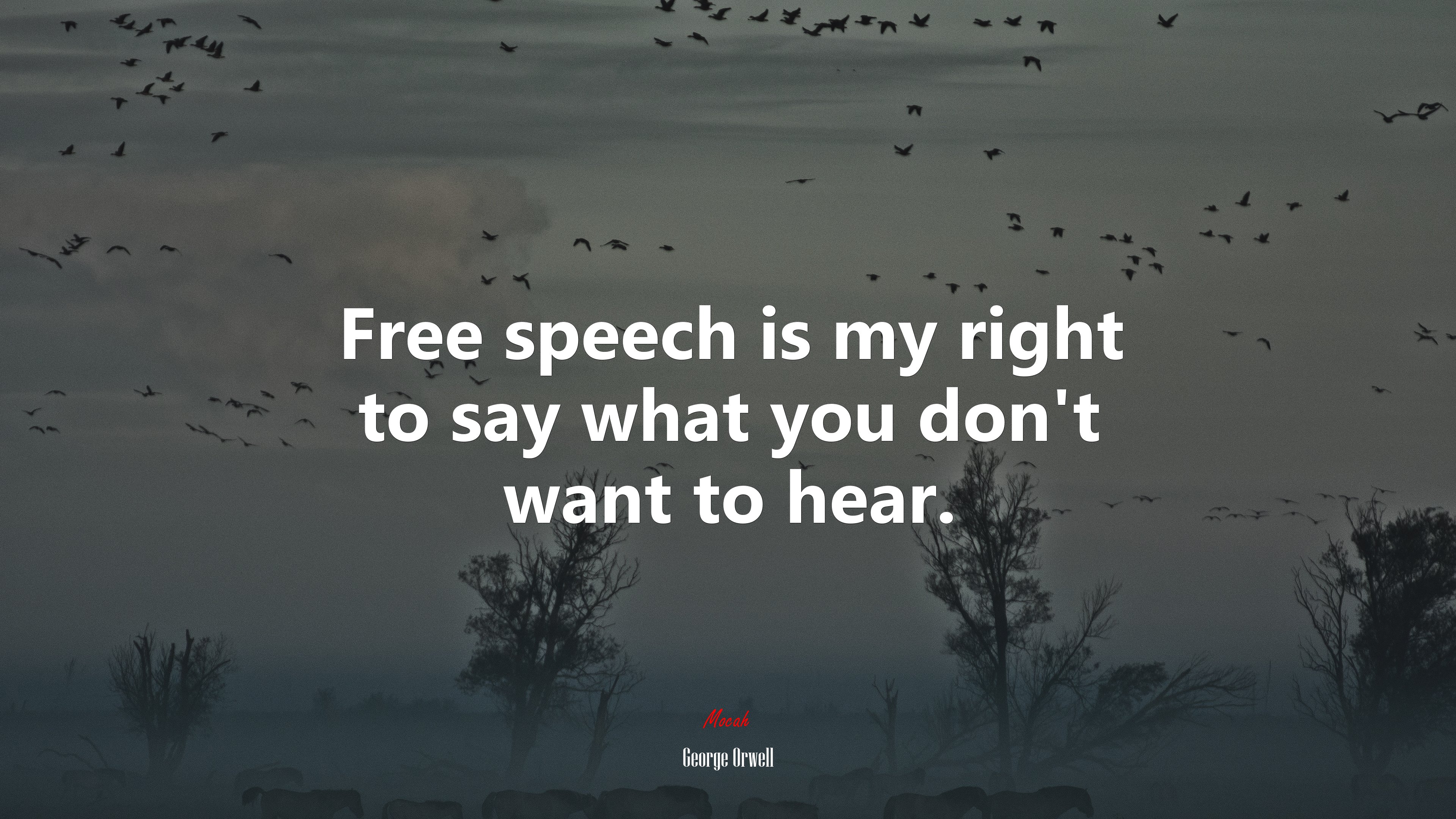 Free speech is my right to say what you don’t want to hear. | George Orwell quote HD Wallpaper