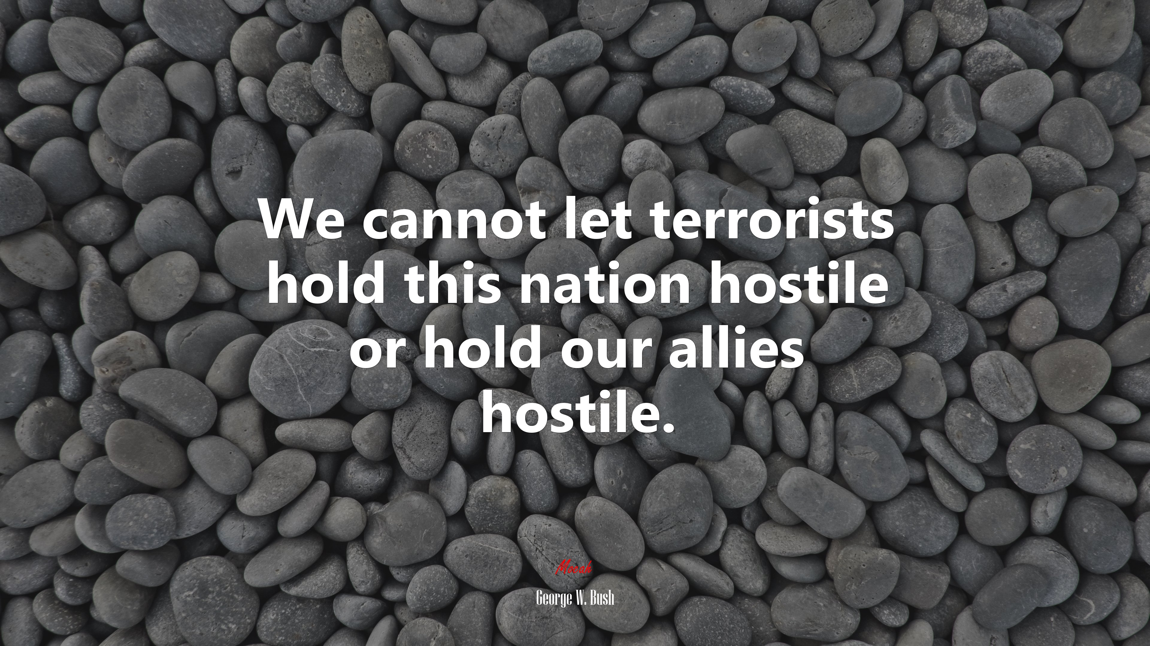 We cannot let terrorists hold this nation hostile or hold our allies hostile. | George W. Bush quote HD Wallpaper