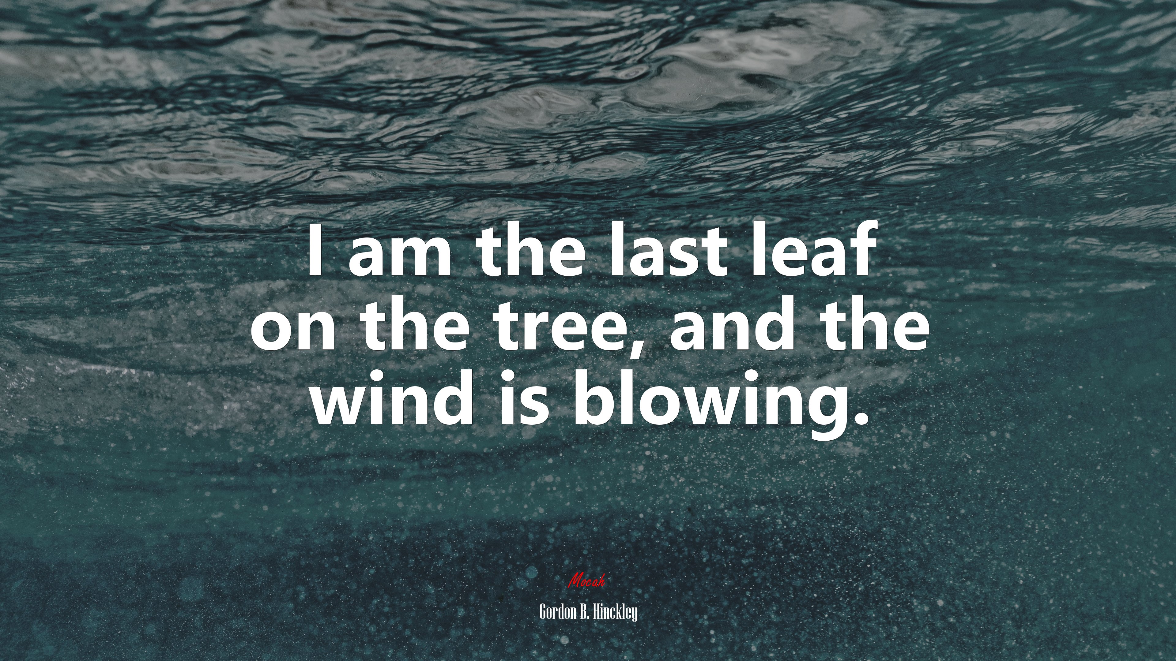 I am the last leaf on the tree, and the wind is blowing. | Gordon B. Hinckley quote HD Wallpaper