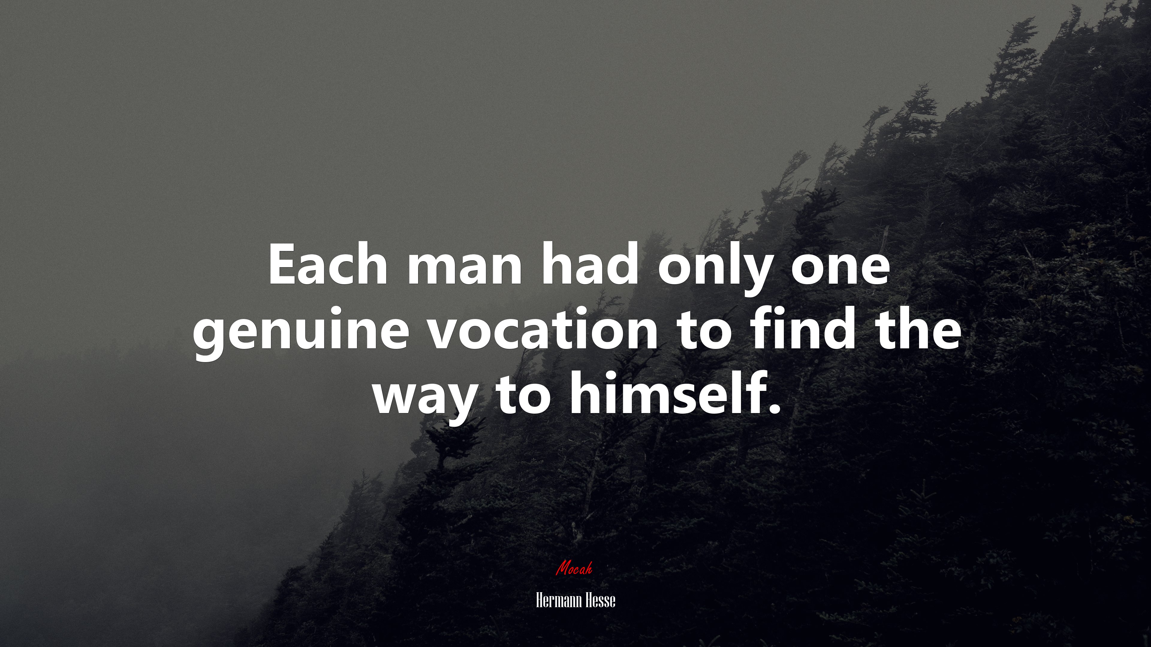 Each man had only one genuine vocation to find the way to himself. | Hermann Hesse quote HD Wallpaper