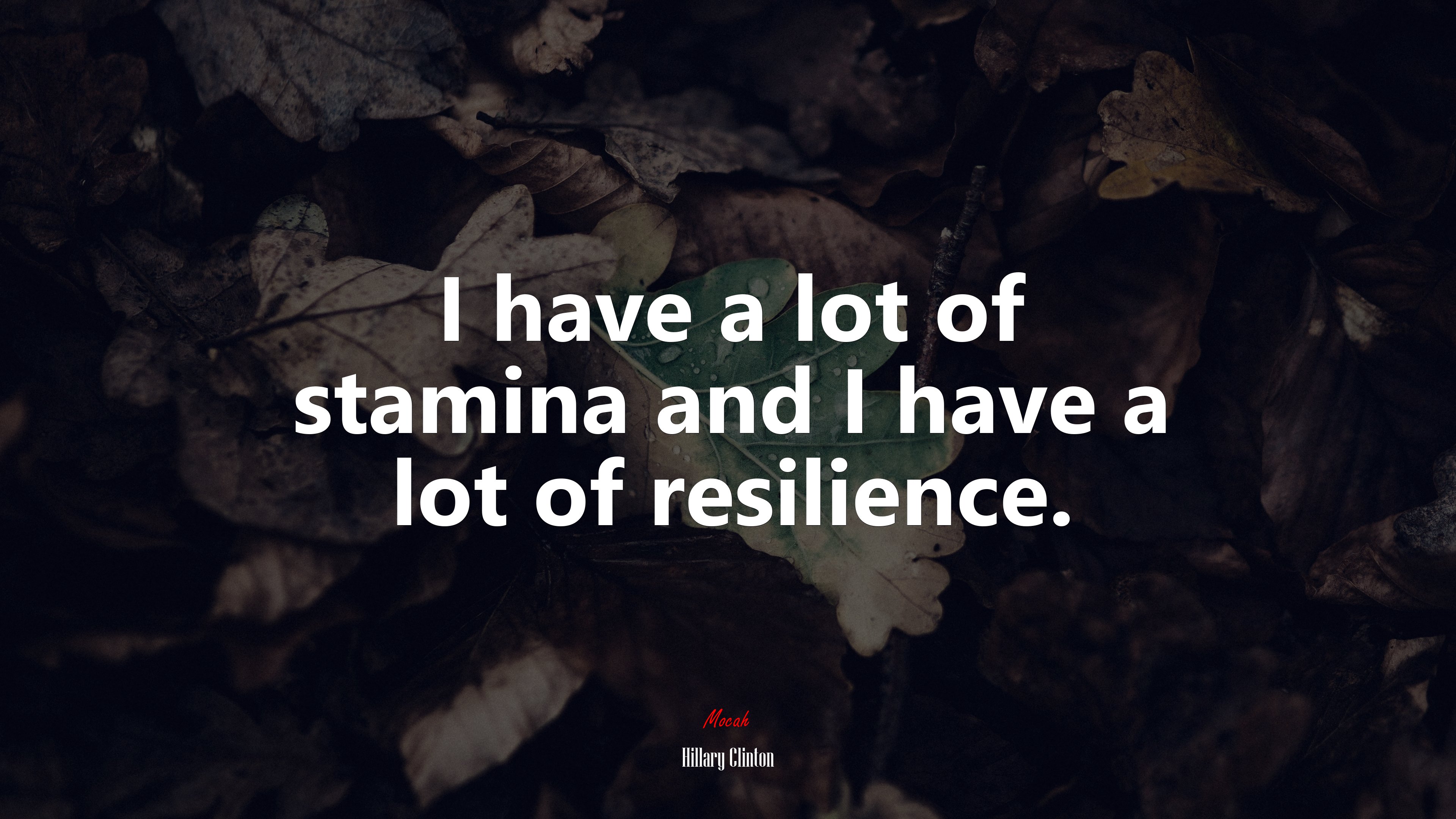 I have a lot of stamina and I have a lot of resilience. | Hillary Clinton quote HD Wallpaper