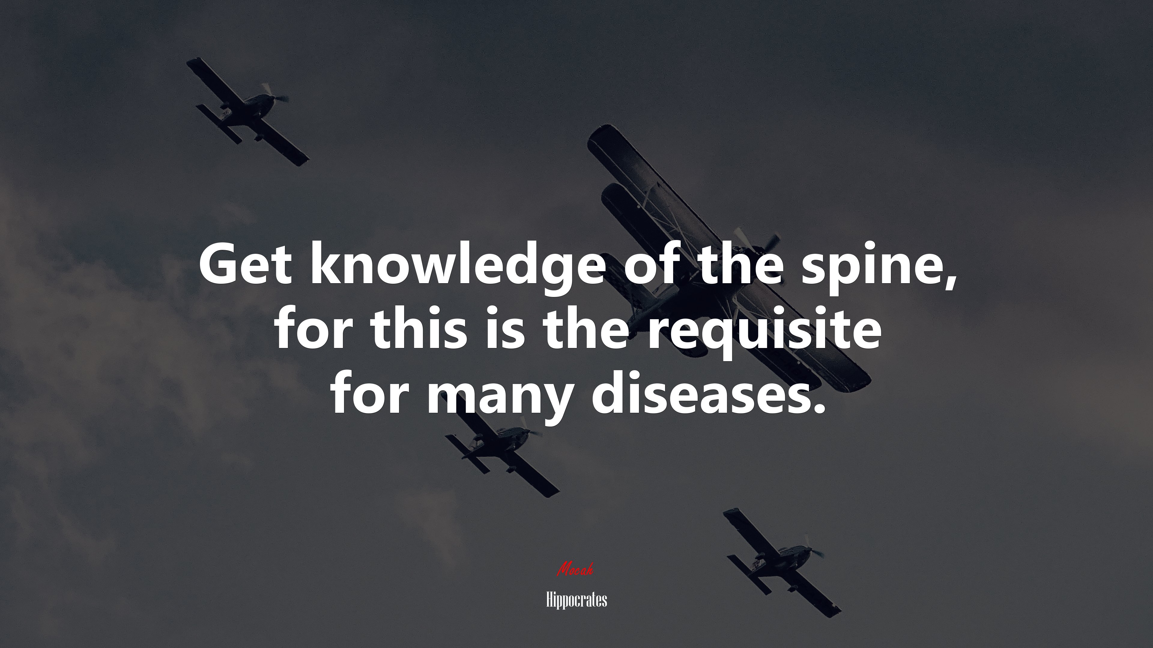 Get knowledge of the spine, for this is the requisite for many diseases. | Hippocrates quote HD Wallpaper