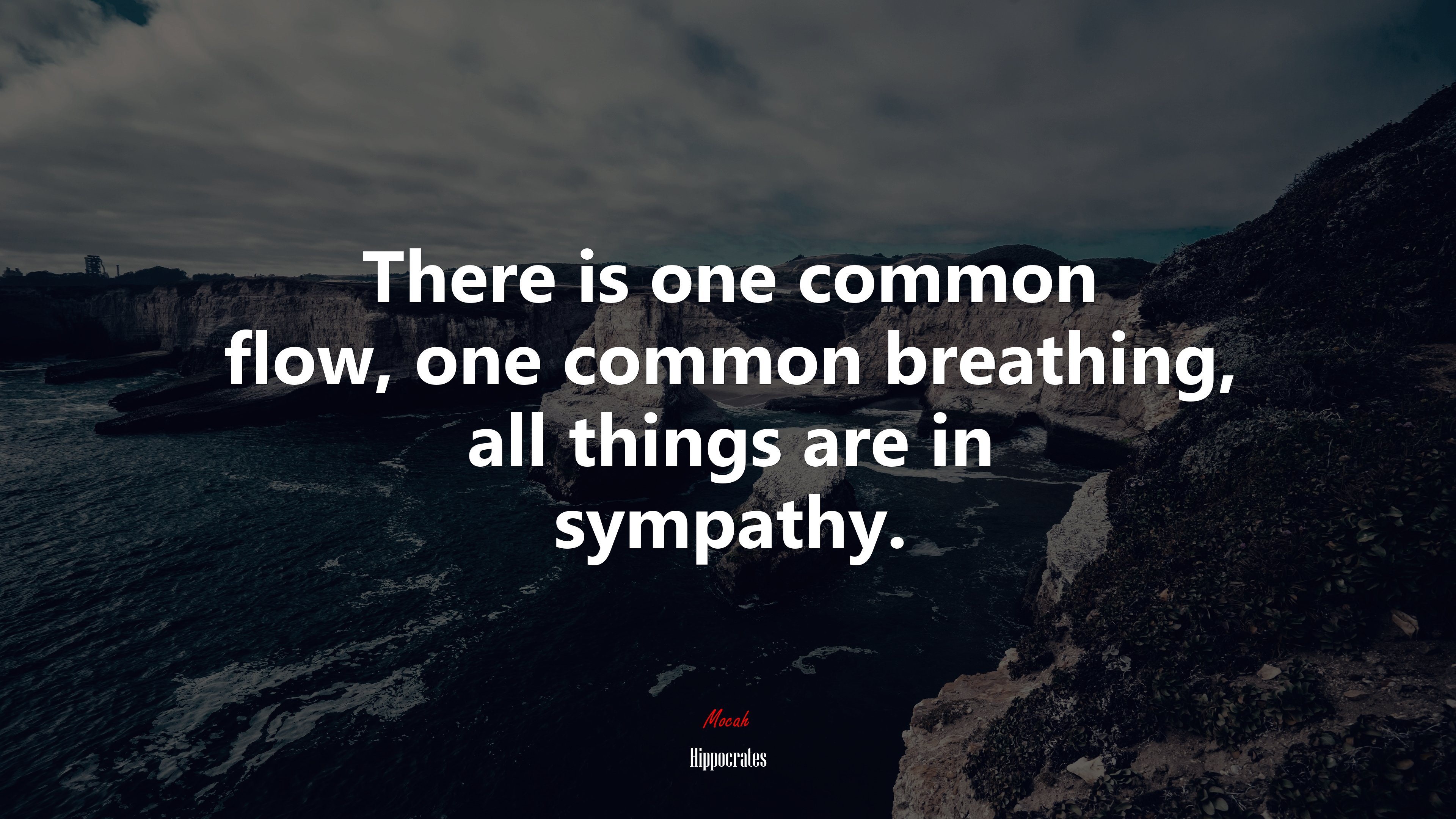 There is one common flow, one common breathing, all things are in sympathy. | Hippocrates quote HD Wallpaper