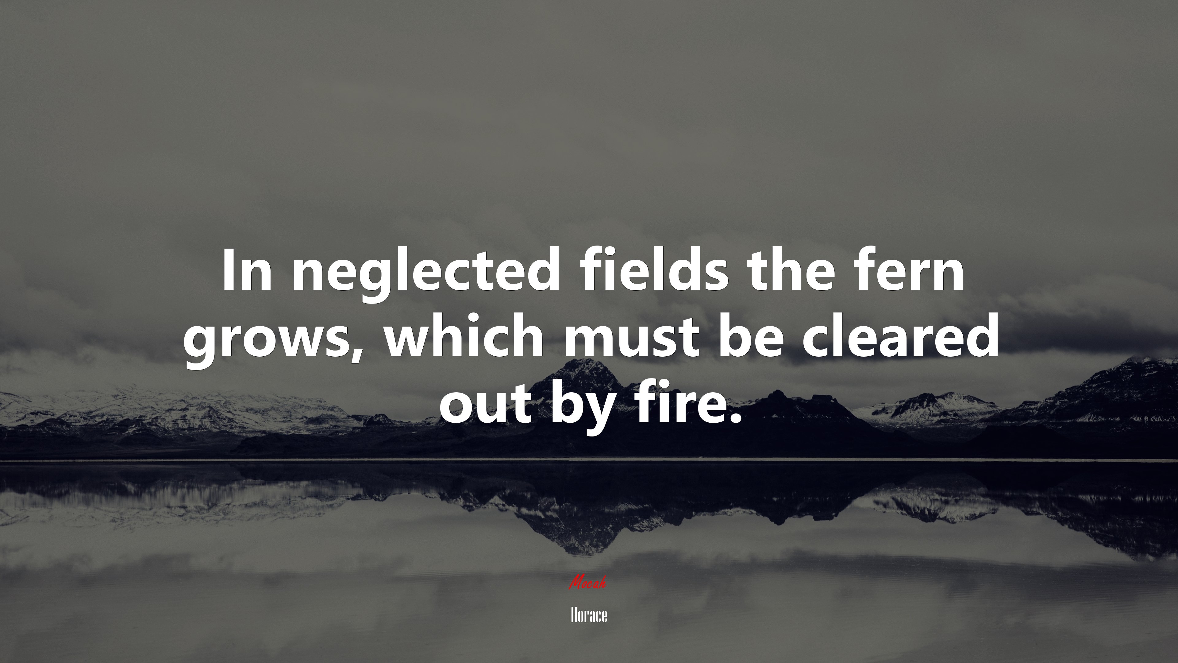 In neglected fields the fern grows, which must be cleared out by fire. | Horace quote HD Wallpaper
