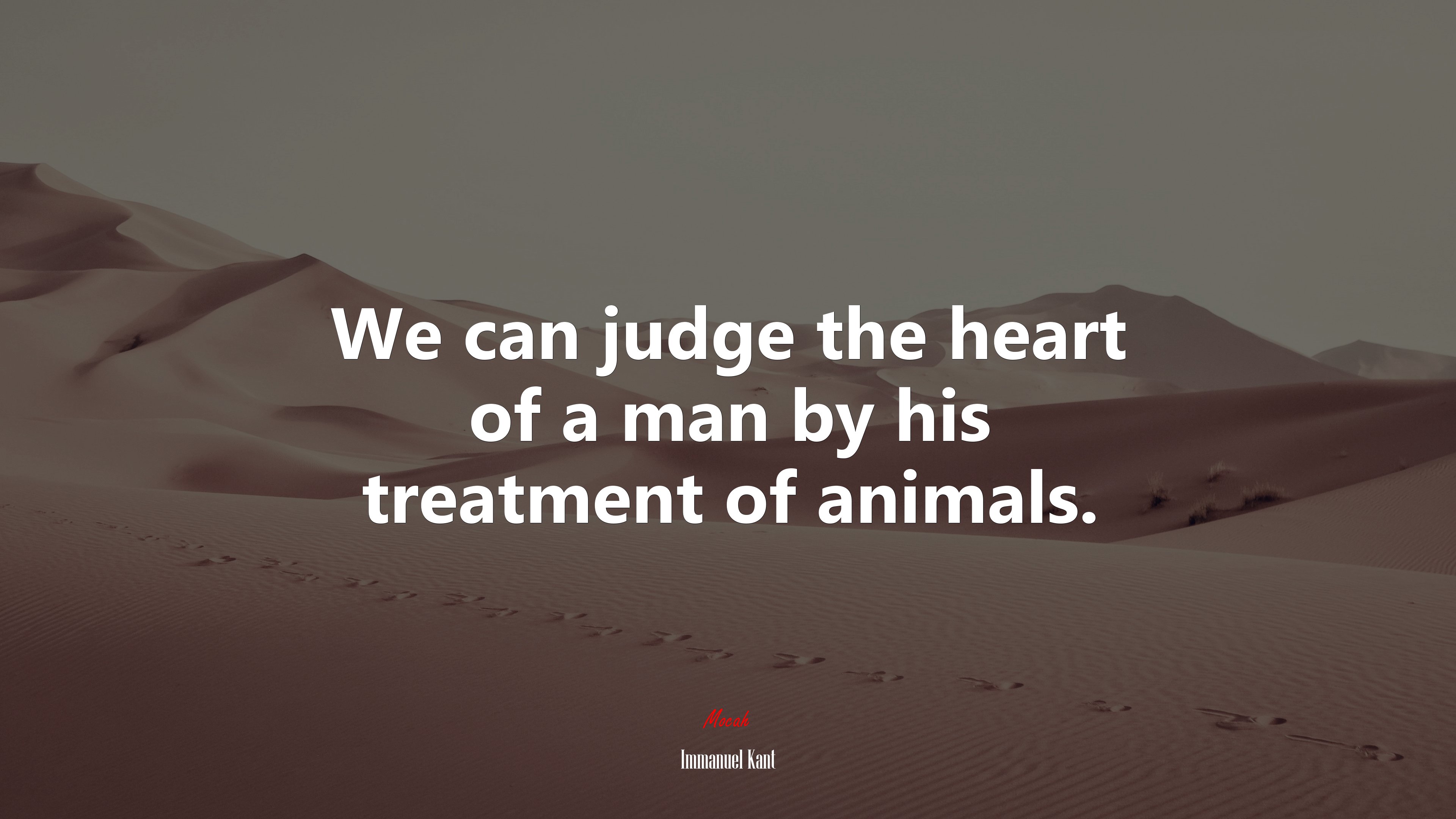 We can judge the heart of a man by his treatment of animals. | Immanuel Kant quote HD Wallpaper