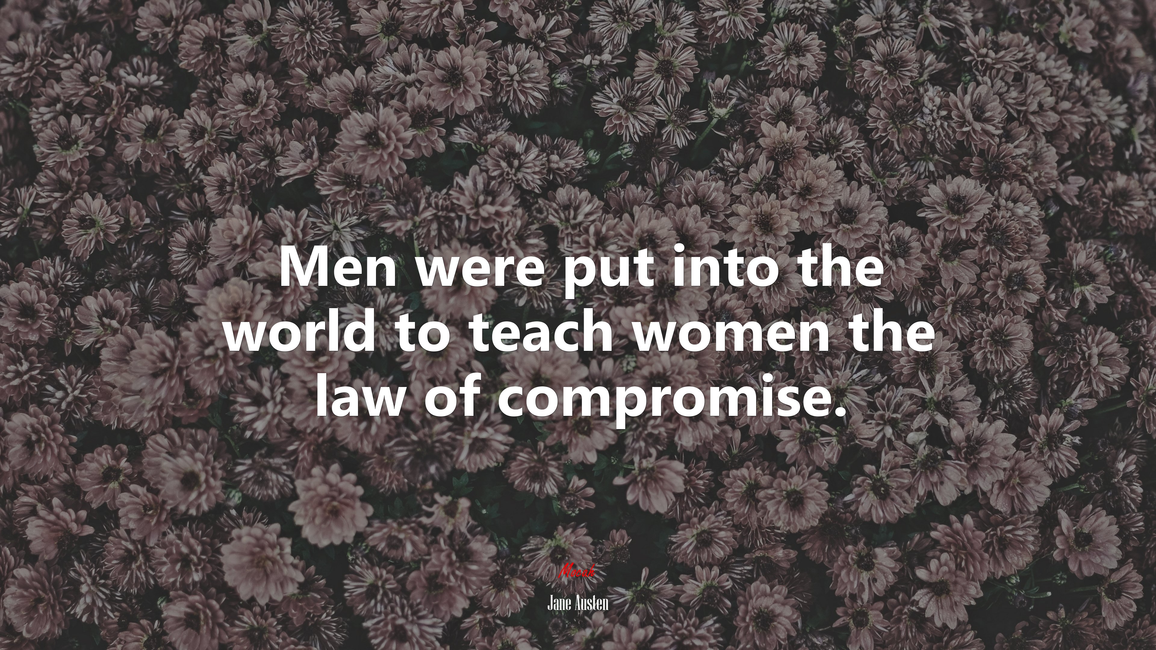 Men were put into the world to teach women the law of compromise. | Jane Austen quote HD Wallpaper