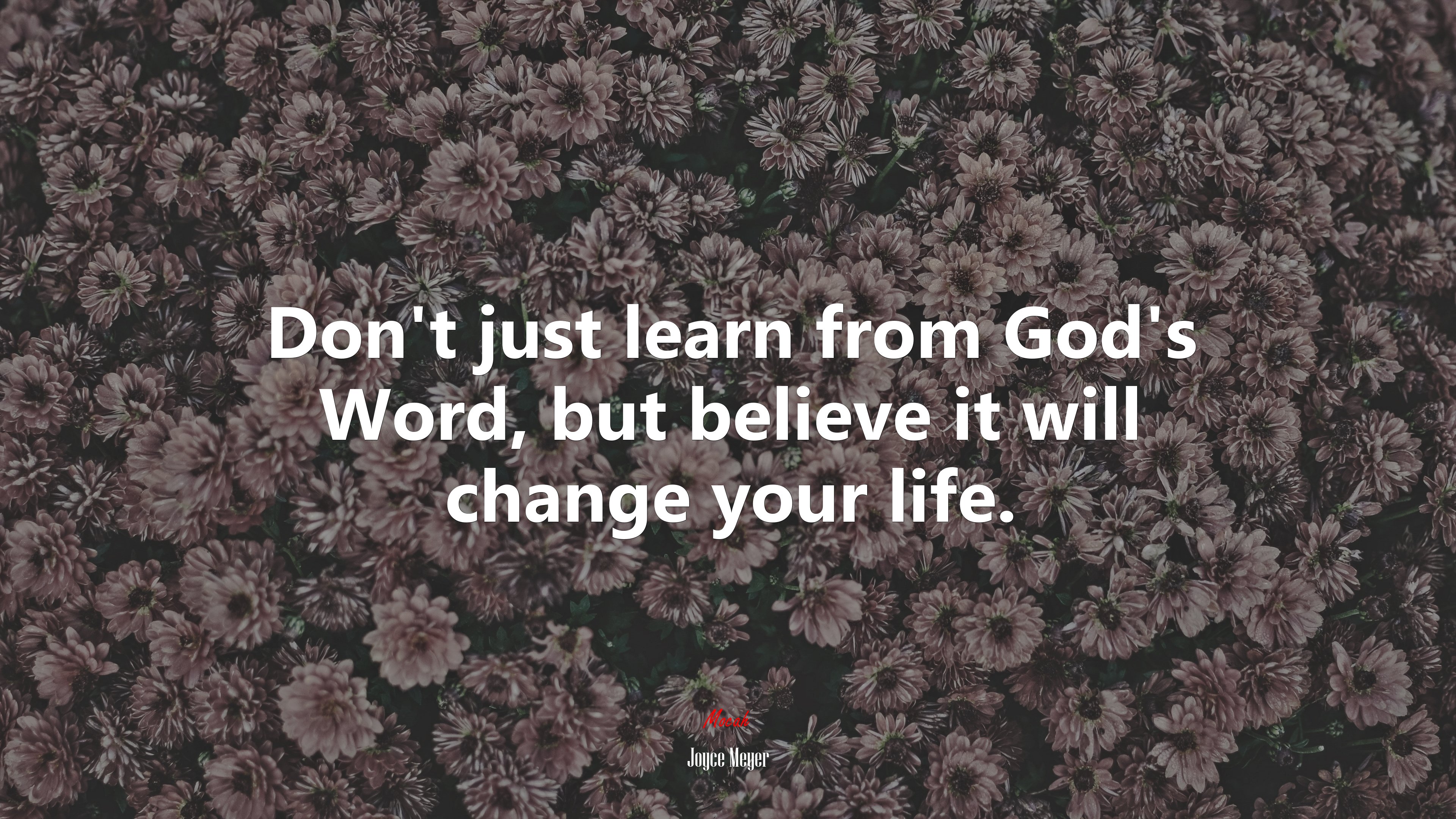 Don’t just learn from God’s Word, but believe it will change your life. | Joyce Meyer quote HD Wallpaper