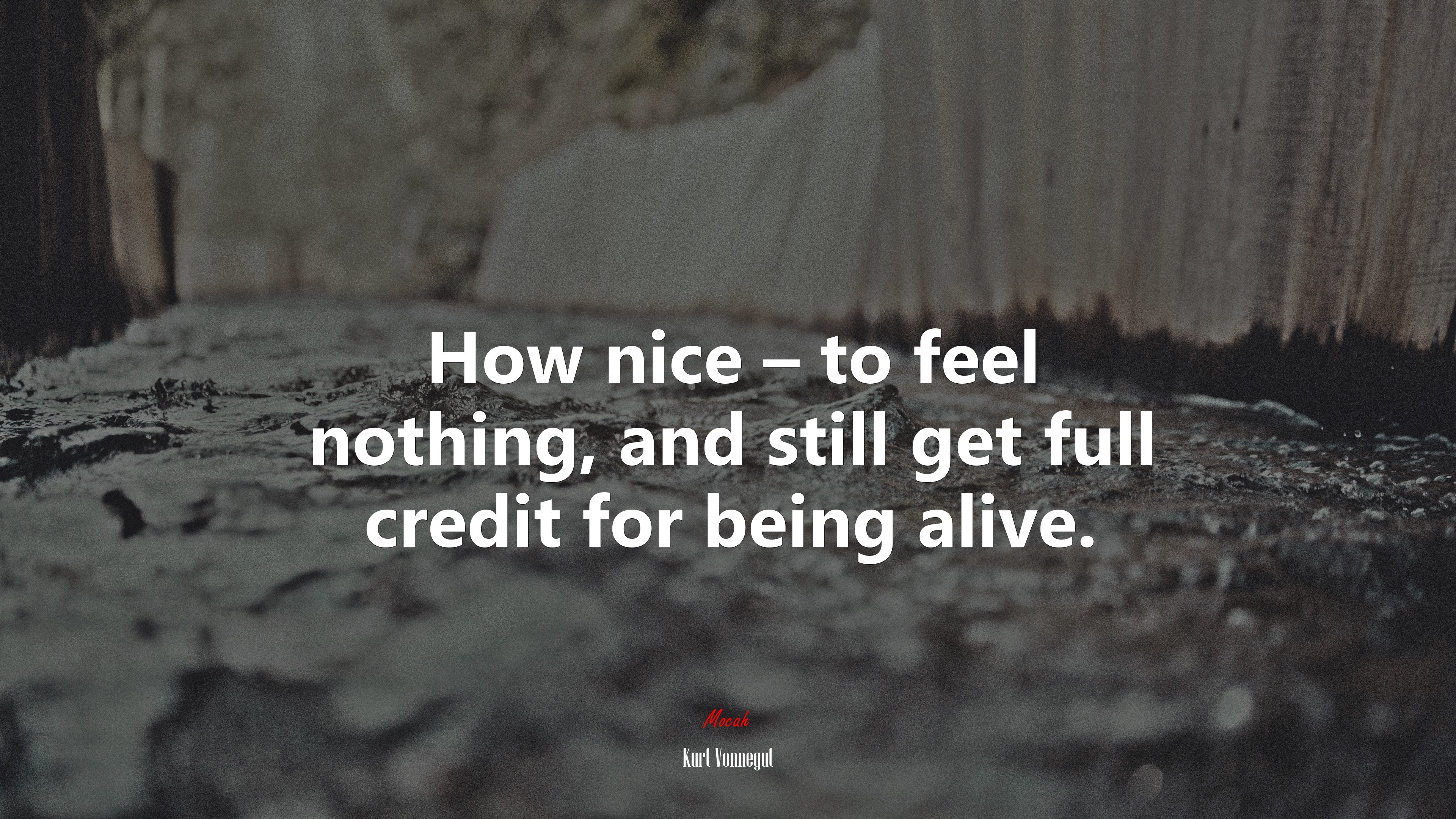 How nice – to feel nothing, and still get full credit for being alive. | Kurt Vonnegut quote HD Wallpaper