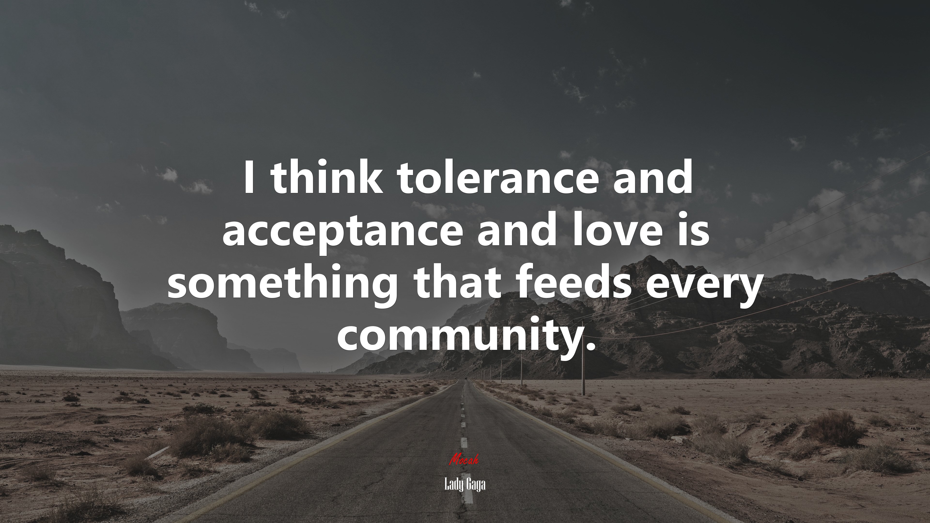 I think tolerance and acceptance and love is something that feeds every community. | Lady Gaga quote HD Wallpaper