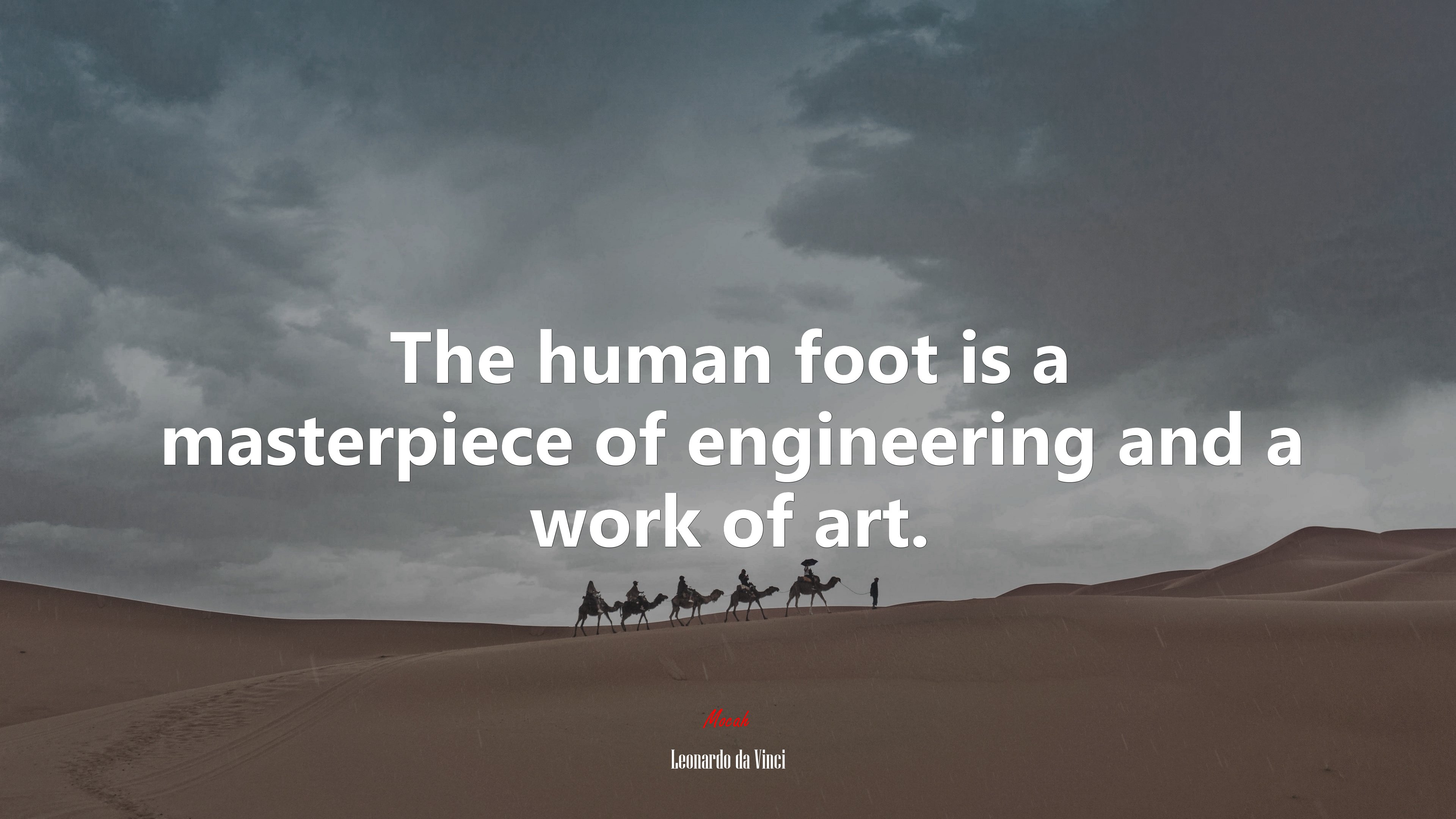 The human foot is a masterpiece of engineering and a work of art. | Leonardo da Vinci quote HD Wallpaper