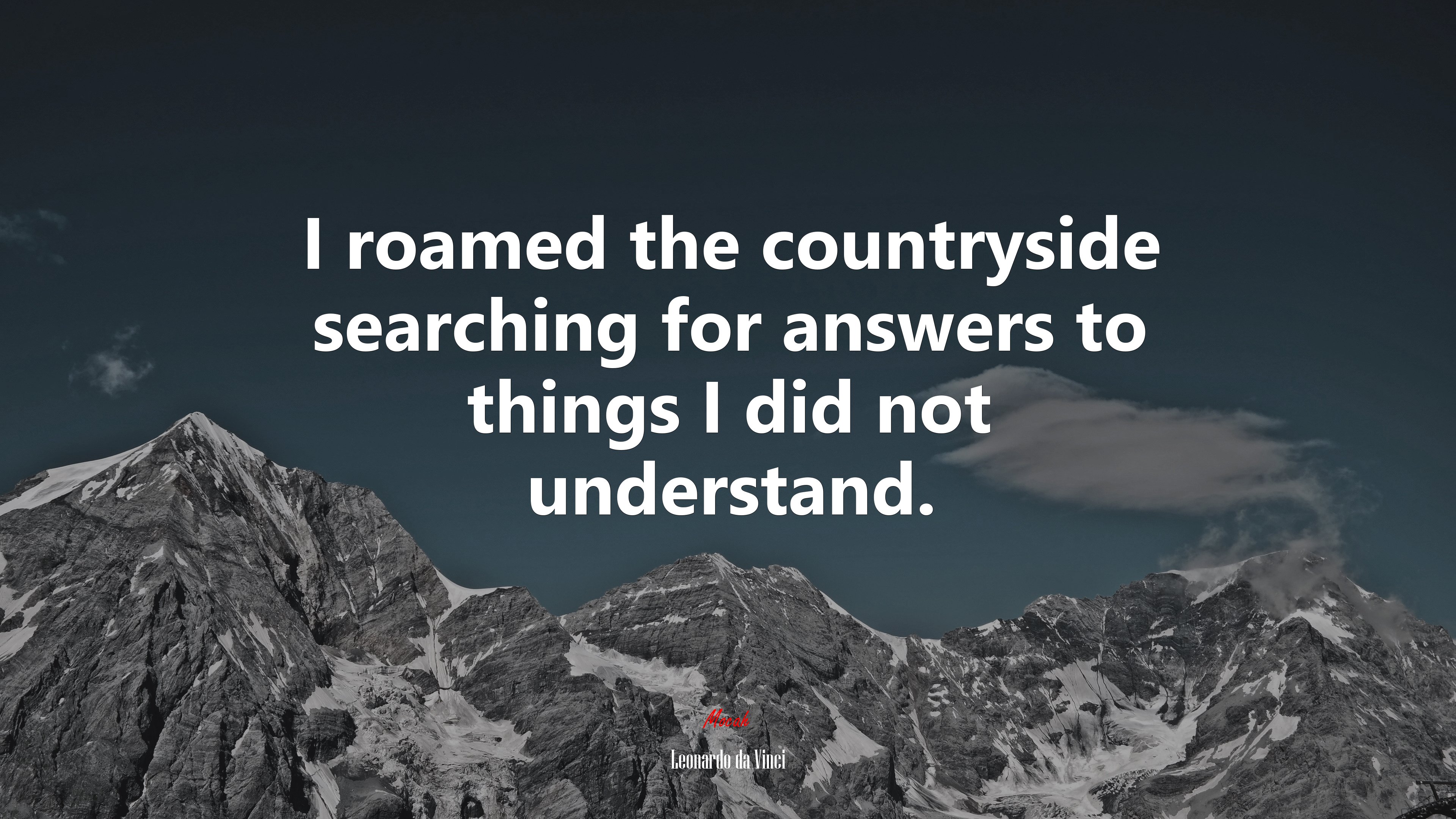 I roamed the countryside searching for answers to things I did not understand. | Leonardo da Vinci quote HD Wallpaper