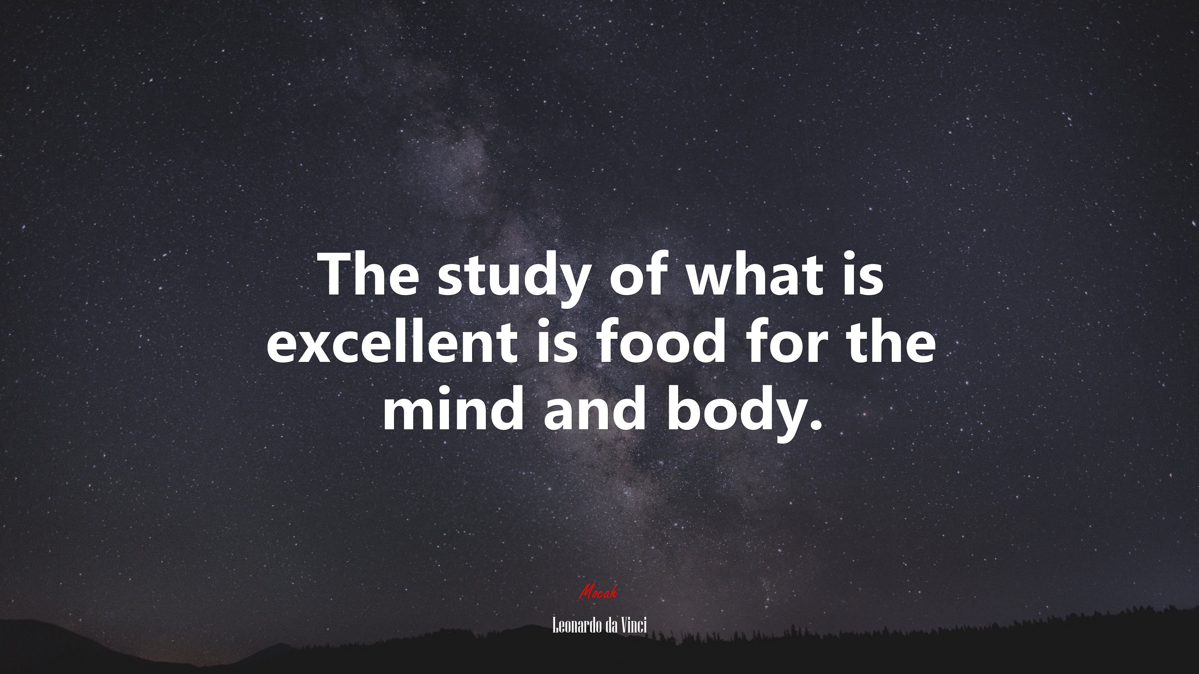 The study of what is excellent is food for the mind and body. | Leonardo da Vinci quote HD Wallpaper