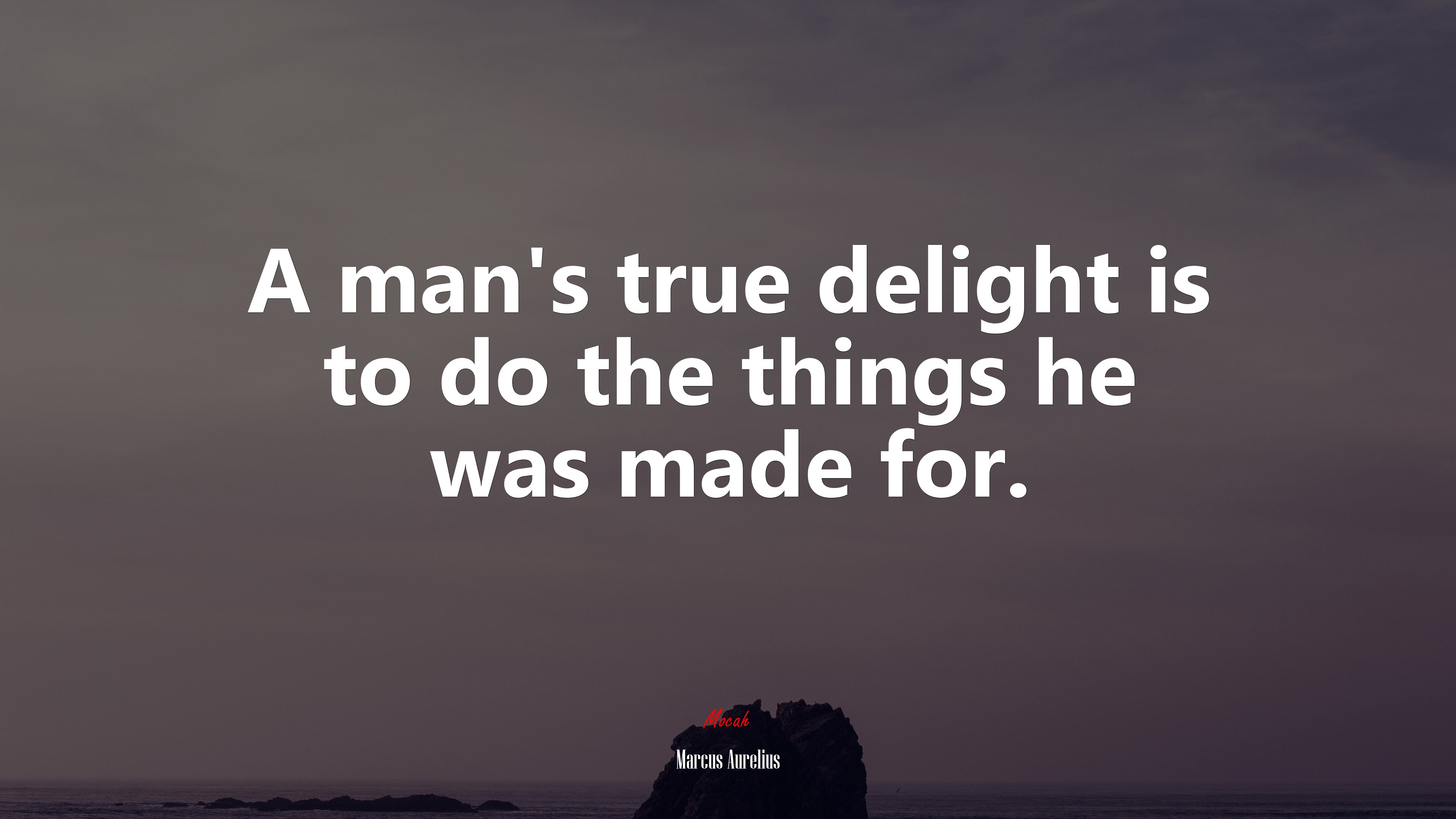 A man’s true delight is to do the things he was made for. | Marcus Aurelius quote HD Wallpaper