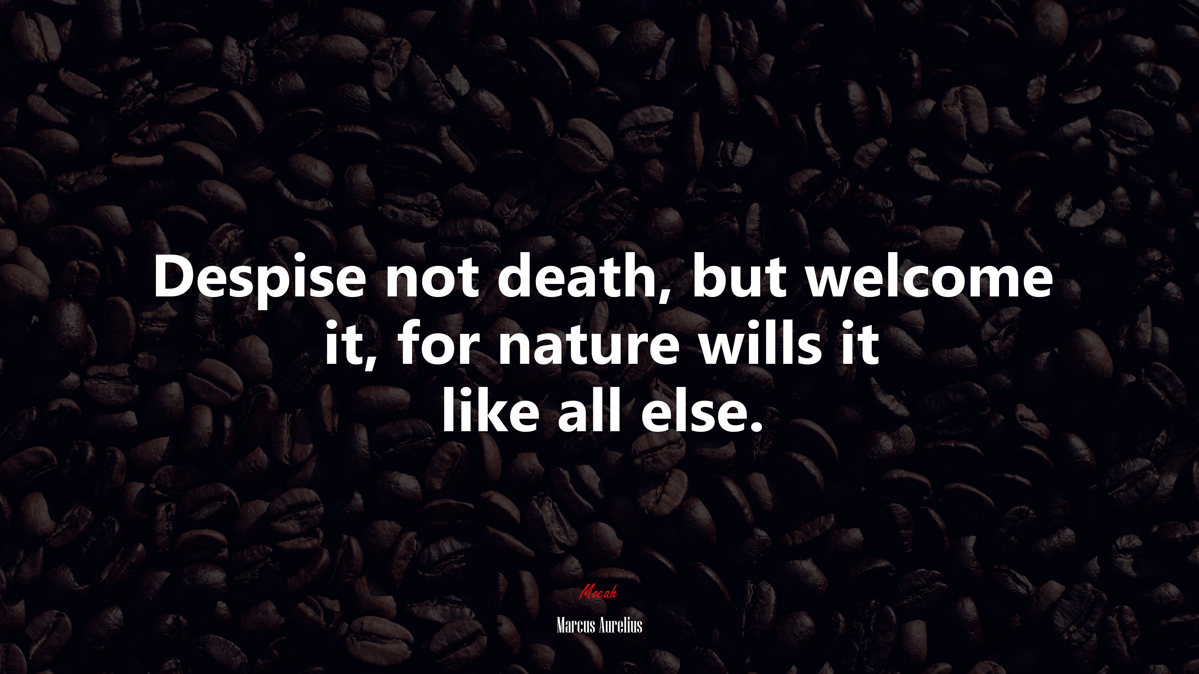 Despise not death, but welcome it, for nature wills it like all else. | Marcus Aurelius quote HD Wallpaper