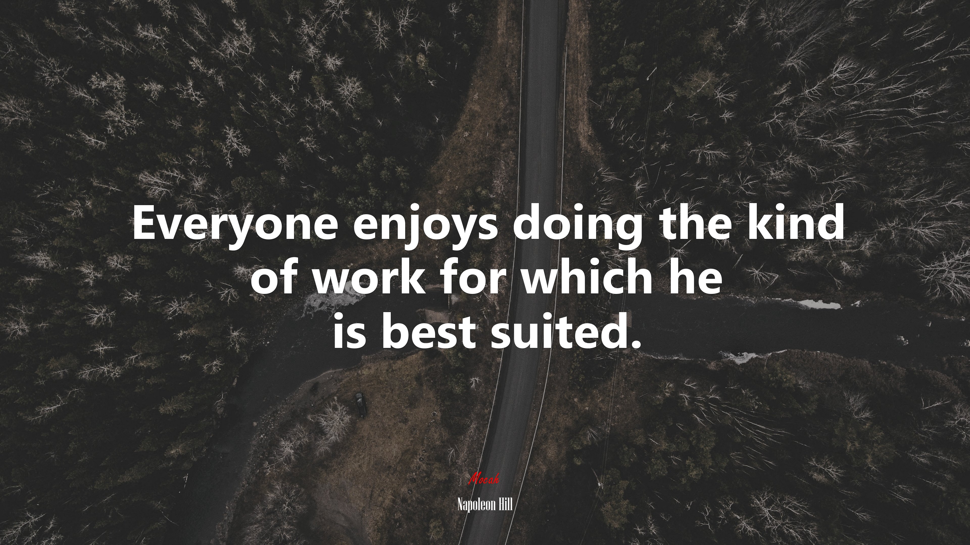 Everyone enjoys doing the kind of work for which he is best suited. | Napoleon Hill quote HD Wallpaper
