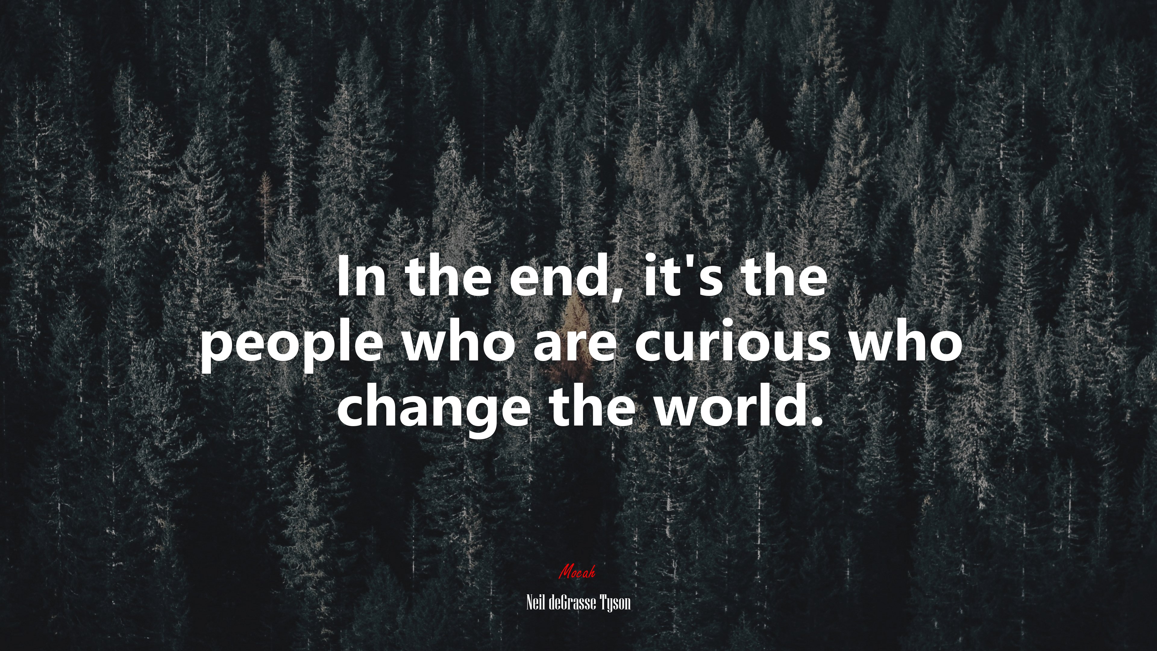 In the end, it’s the people who are curious who change the world. | Neil deGrasse Tyson quote HD Wallpaper