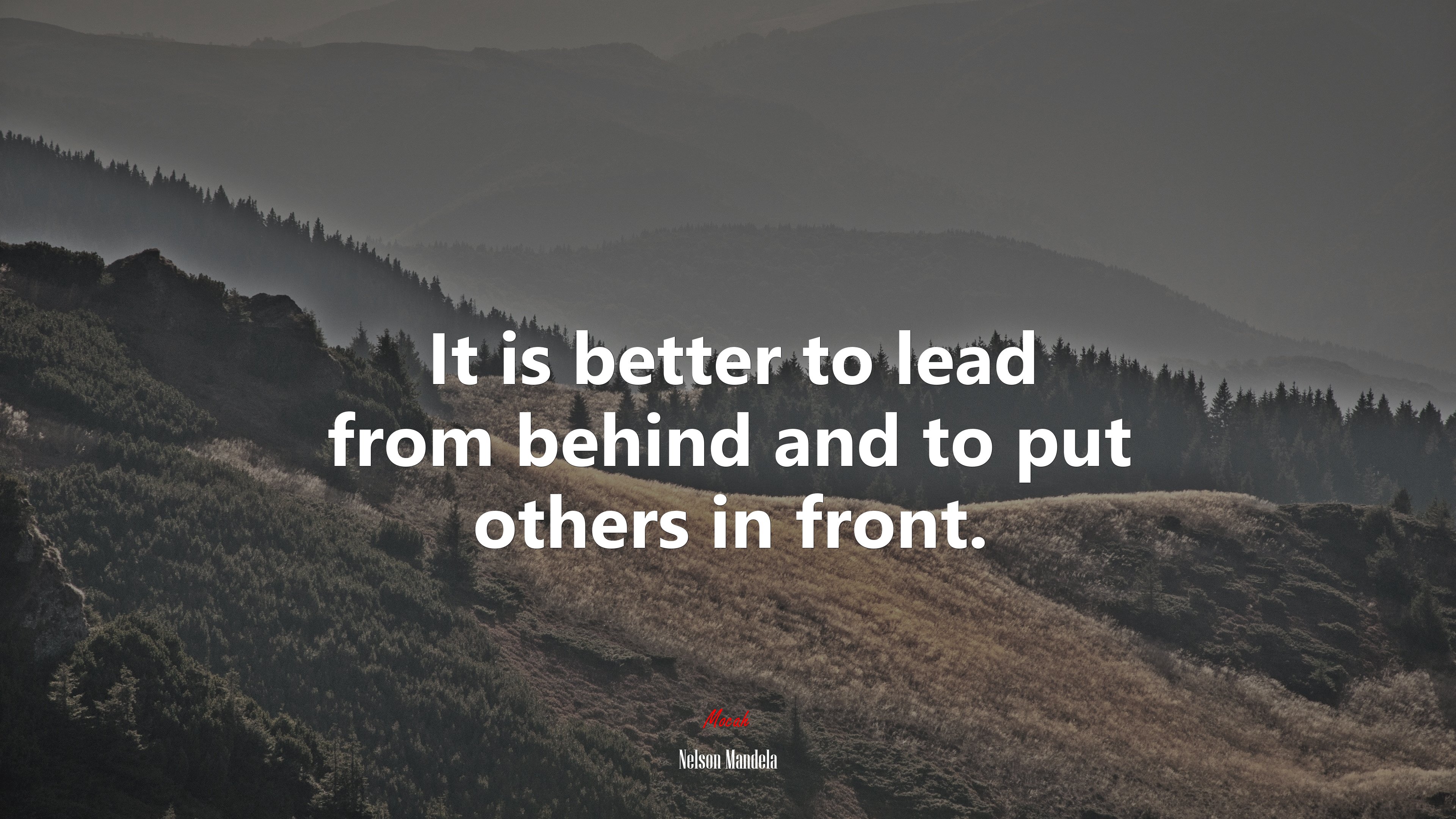 It is better to lead from behind and to put others in front. | Nelson Mandela quote HD Wallpaper