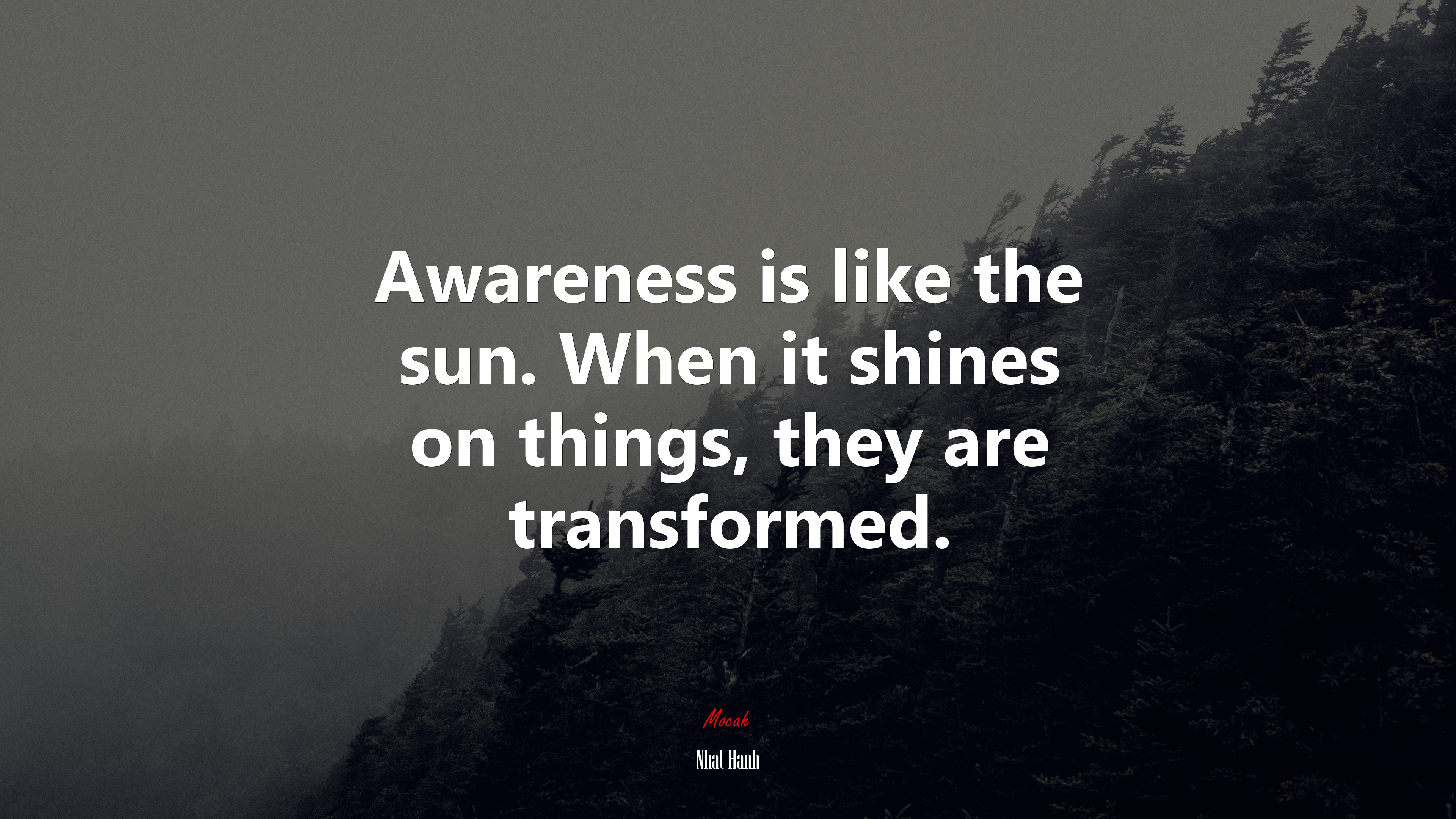 Awareness is like the sun. When it shines on things, they are transformed. | Nhat Hanh quote HD Wallpaper