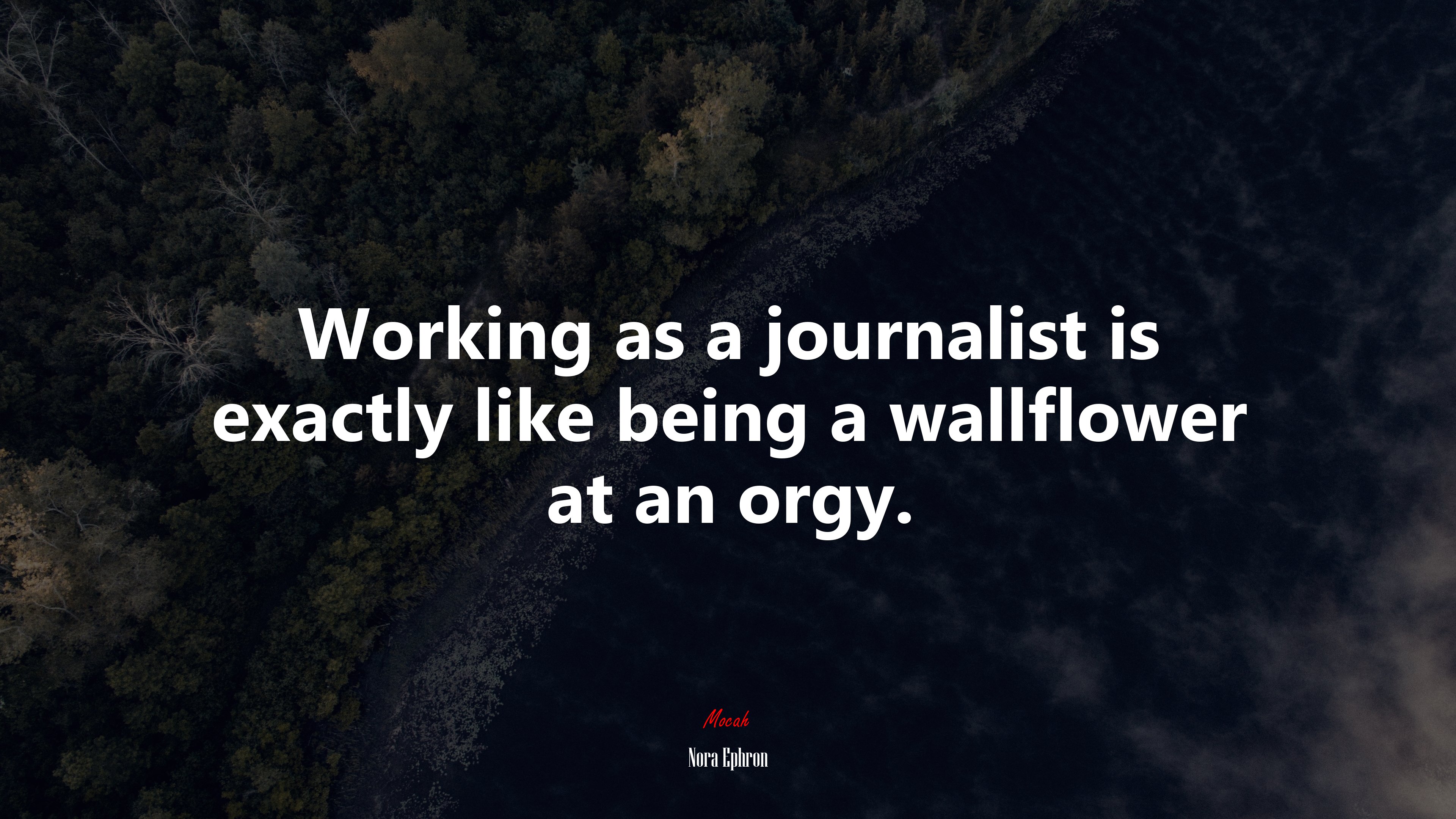 Working as a journalist is exactly like being a wallflower at an orgy. | Nora Ephron quote HD Wallpaper