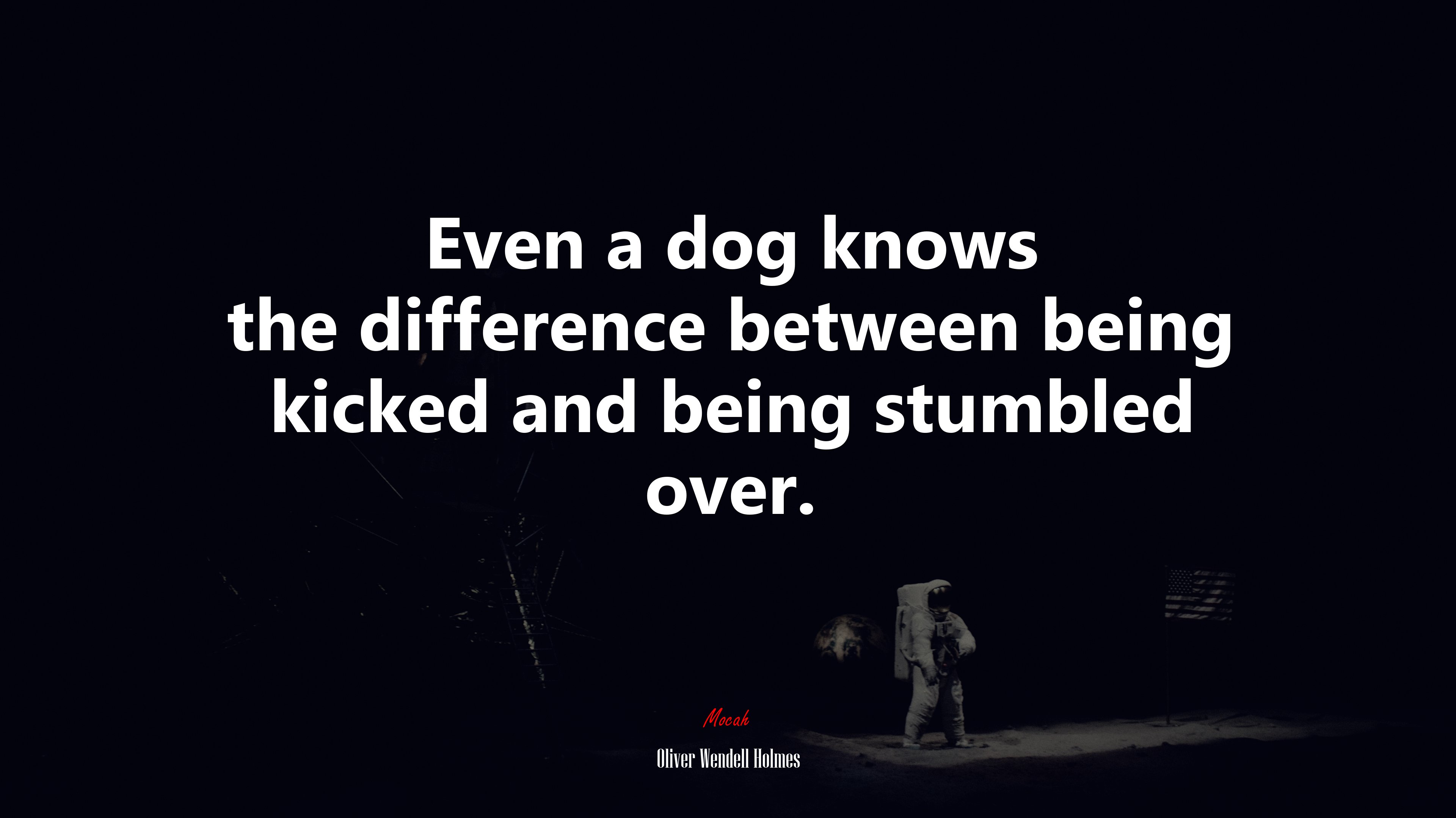 Even a dog knows the difference between being kicked and being stumbled over. | Oliver Wendell Holmes quote HD Wallpaper