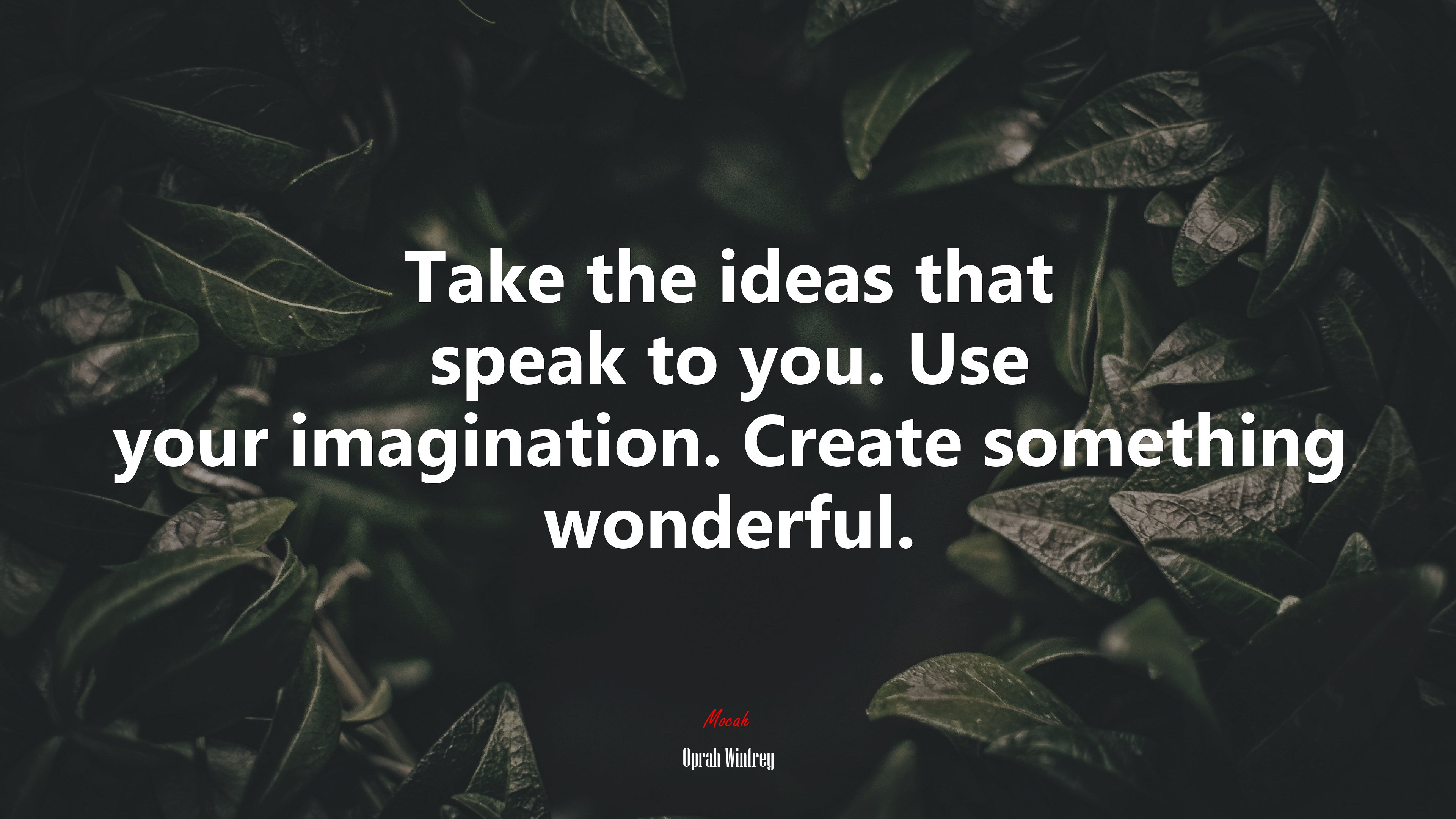 Take the ideas that speak to you. Use your imagination. Create something wonderful. | Oprah Winfrey quote HD Wallpaper