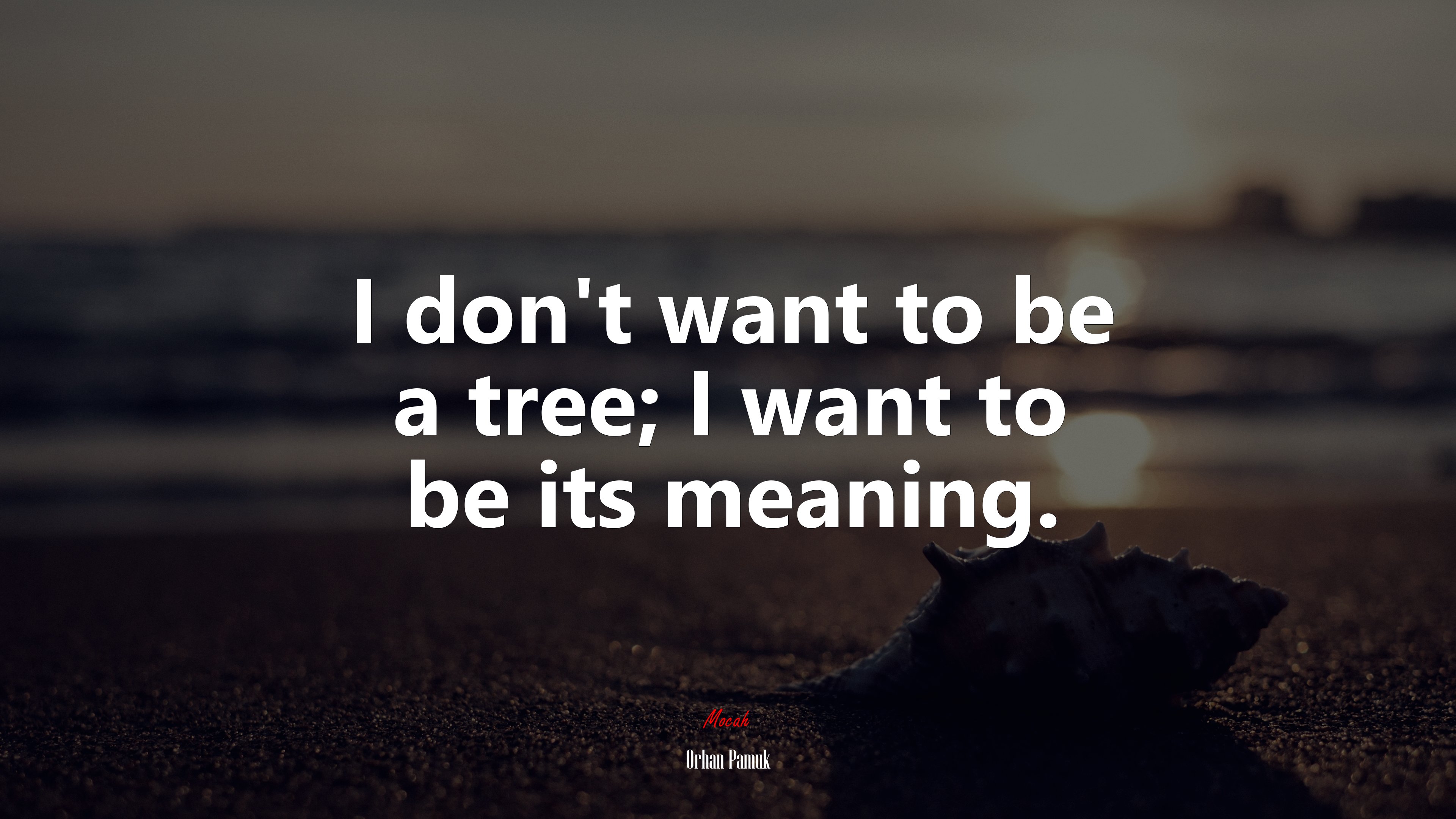 I don’t want to be a tree; I want to be its meaning. | Orhan Pamuk quote HD Wallpaper