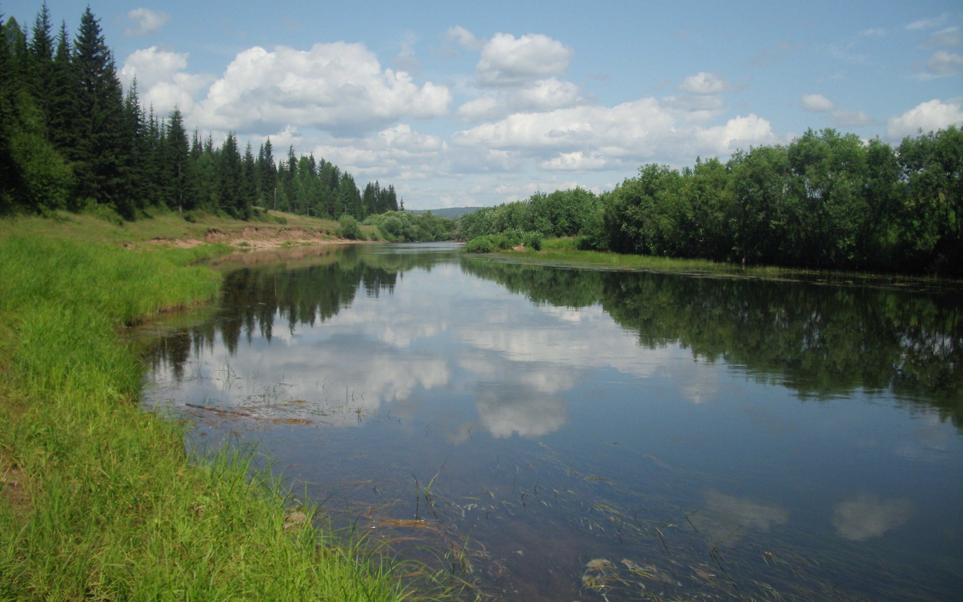 River flowing through a forest with reflections HD Wallpaper
