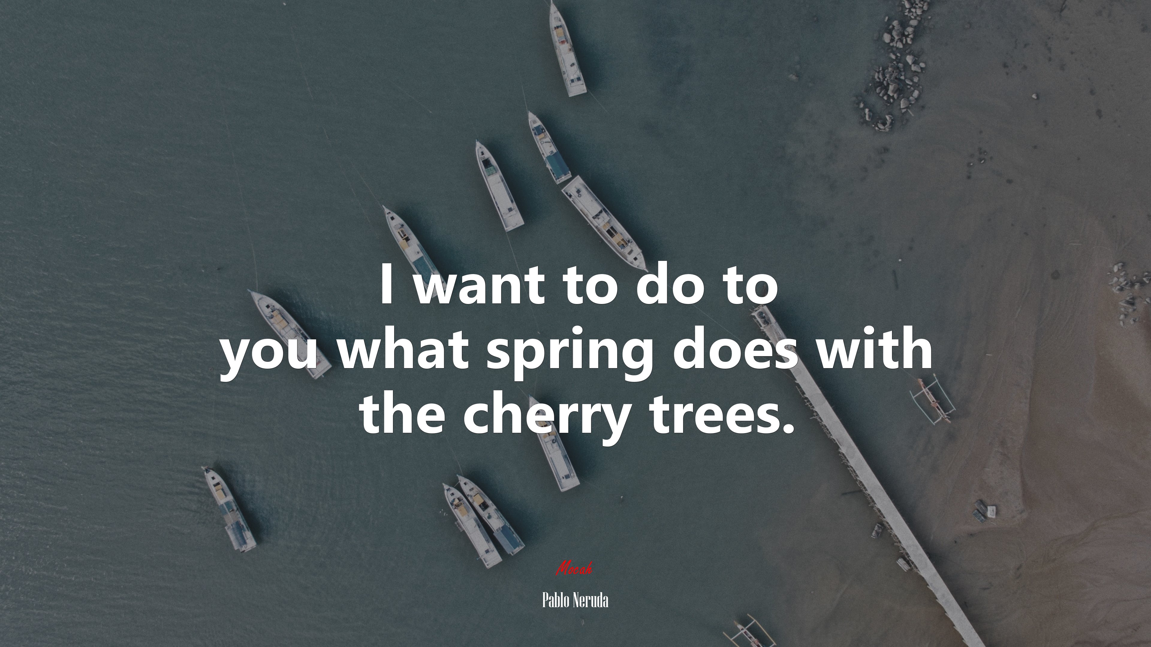 I want to do to you what spring does with the cherry trees. | Pablo Neruda quote HD Wallpaper