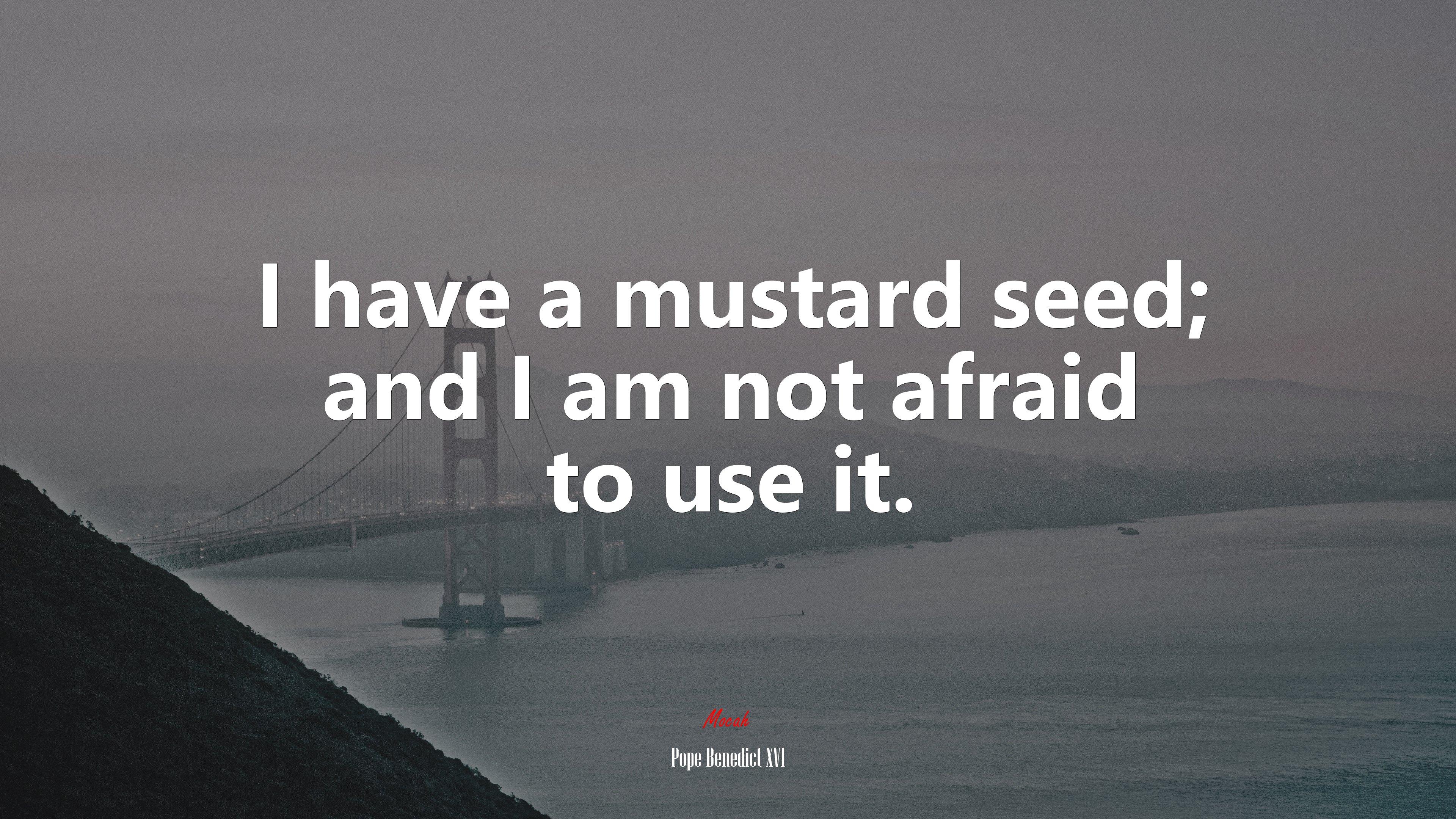 I have a mustard seed; and I am not afraid to use it. | Pope Benedict XVI quote HD Wallpaper
