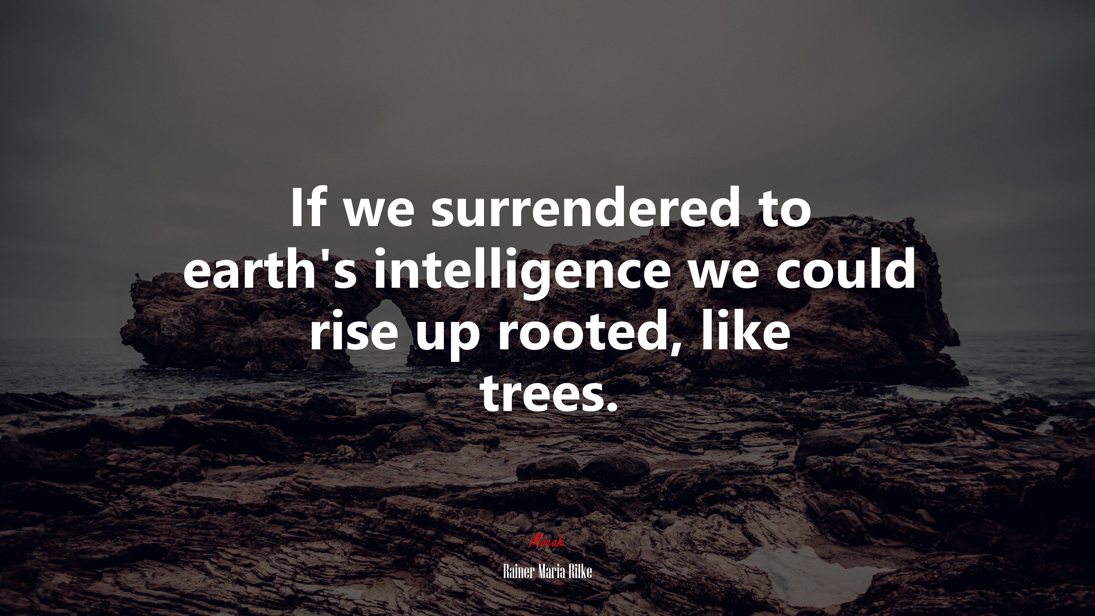 If we surrendered to earth’s intelligence we could rise up rooted, like trees. | Rainer Maria Rilke quote HD Wallpaper