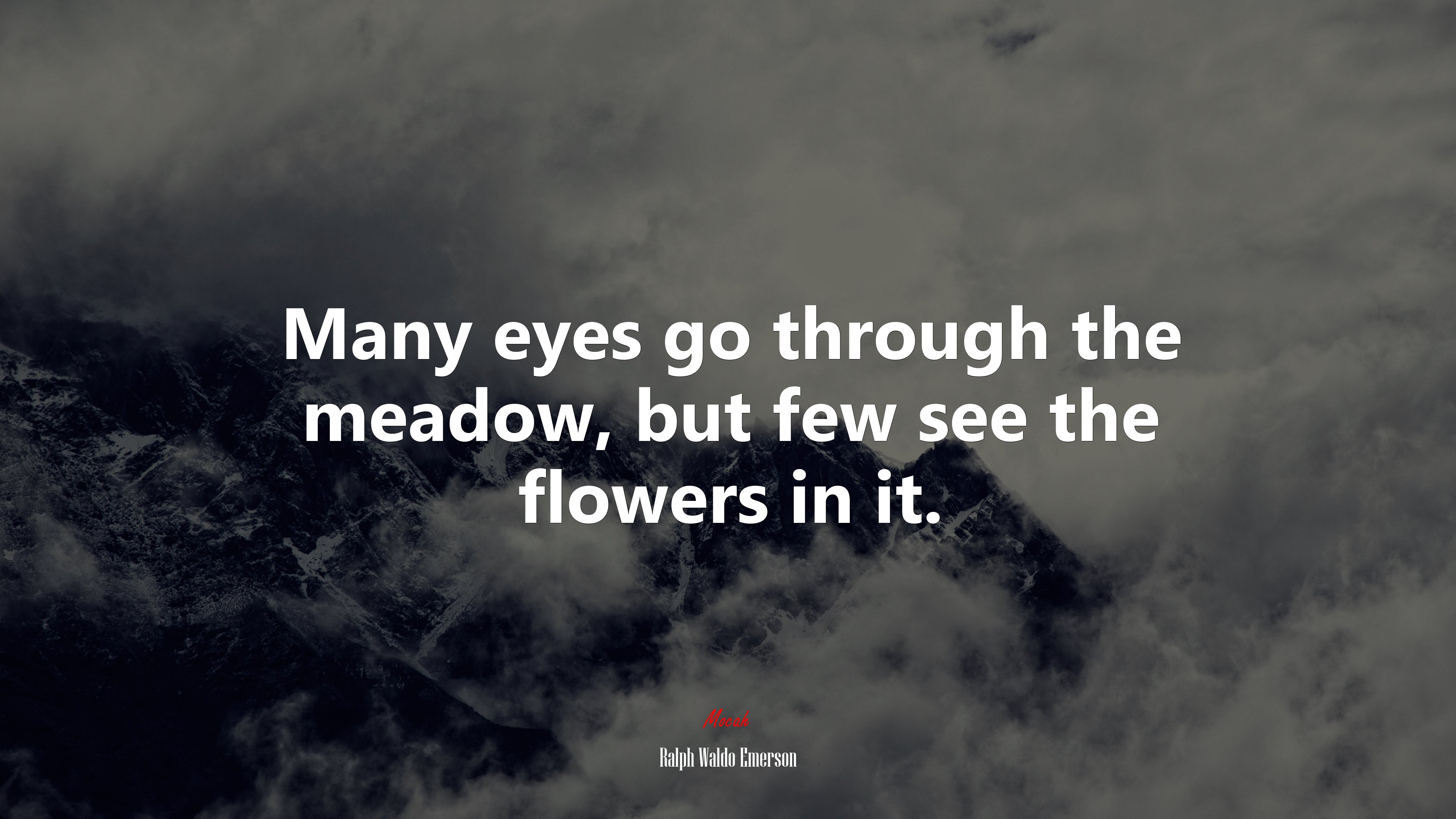 Many eyes go through the meadow, but few see the flowers in it. | Ralph Waldo Emerson quote HD Wallpaper