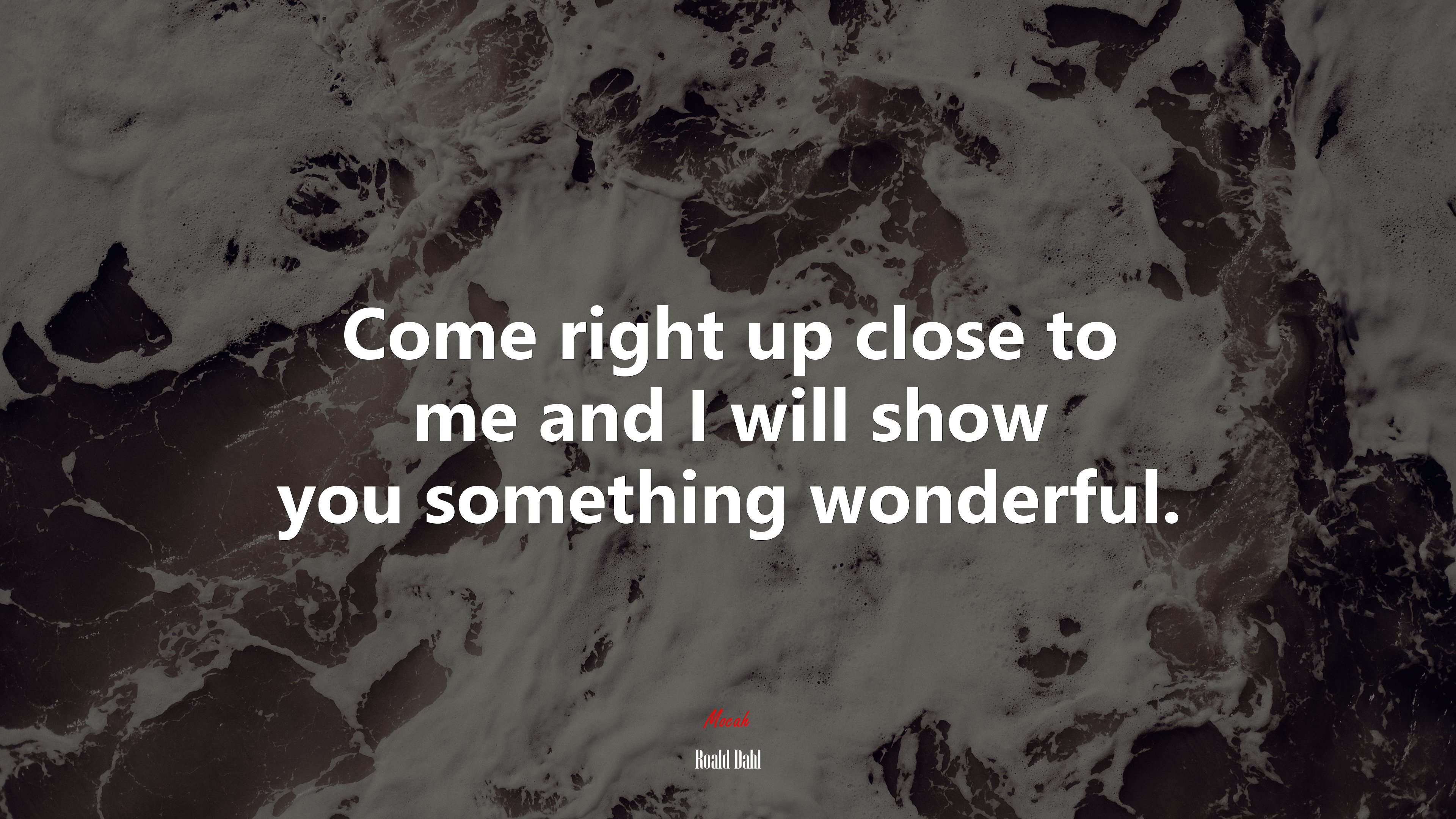 Come right up close to me and I will show you something wonderful. | Roald Dahl quote HD Wallpaper
