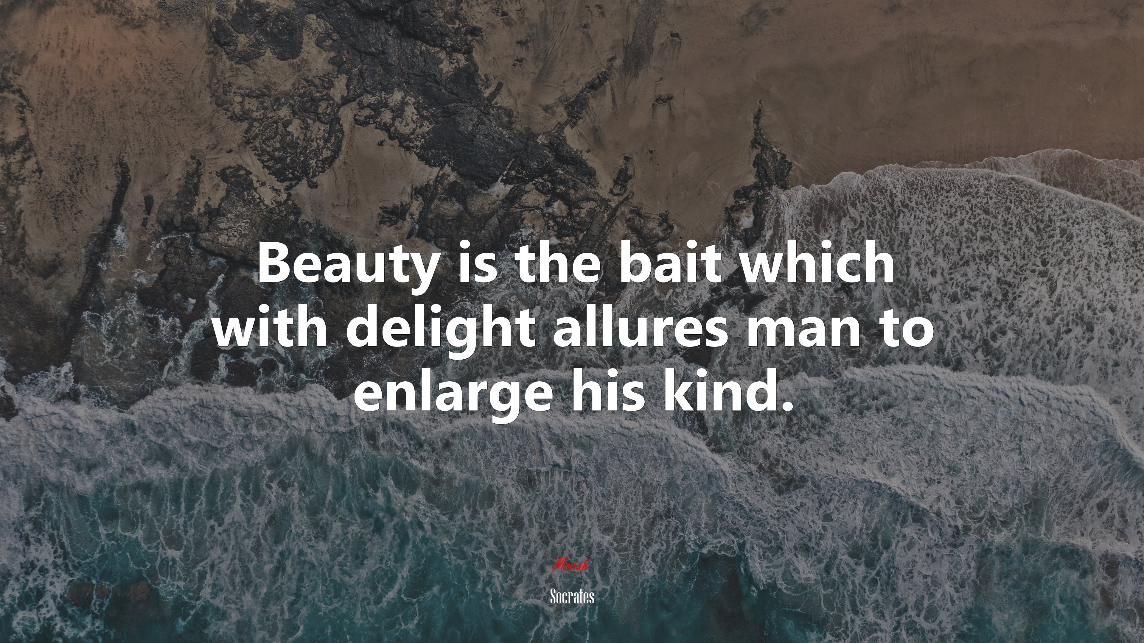 Beauty is the bait which with delight allures man to enlarge his kind. | Socrates quote HD Wallpaper