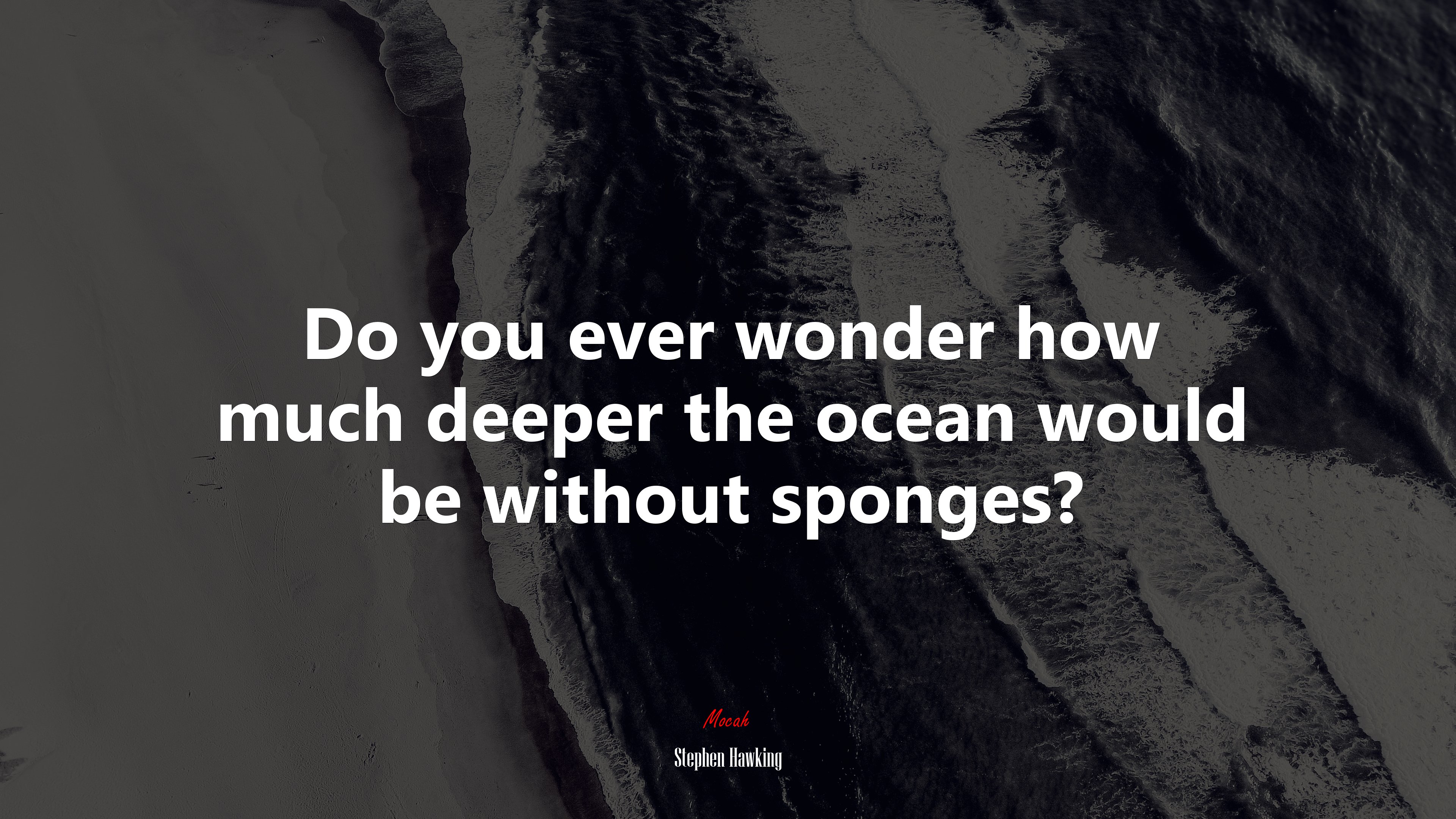 Do you ever wonder how much deeper the ocean would be without sponges? | Stephen Hawking quote HD Wallpaper