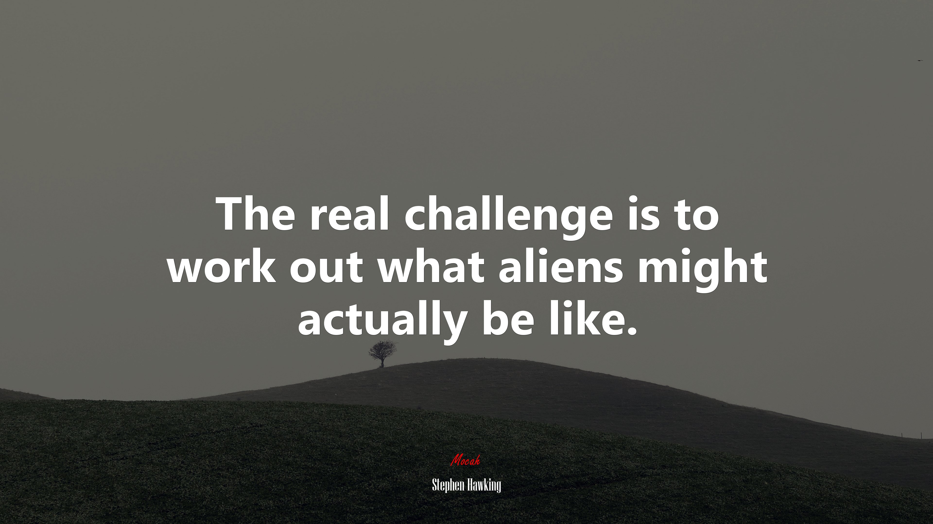 The real challenge is to work out what aliens might actually be like. | Stephen Hawking quote HD Wallpaper