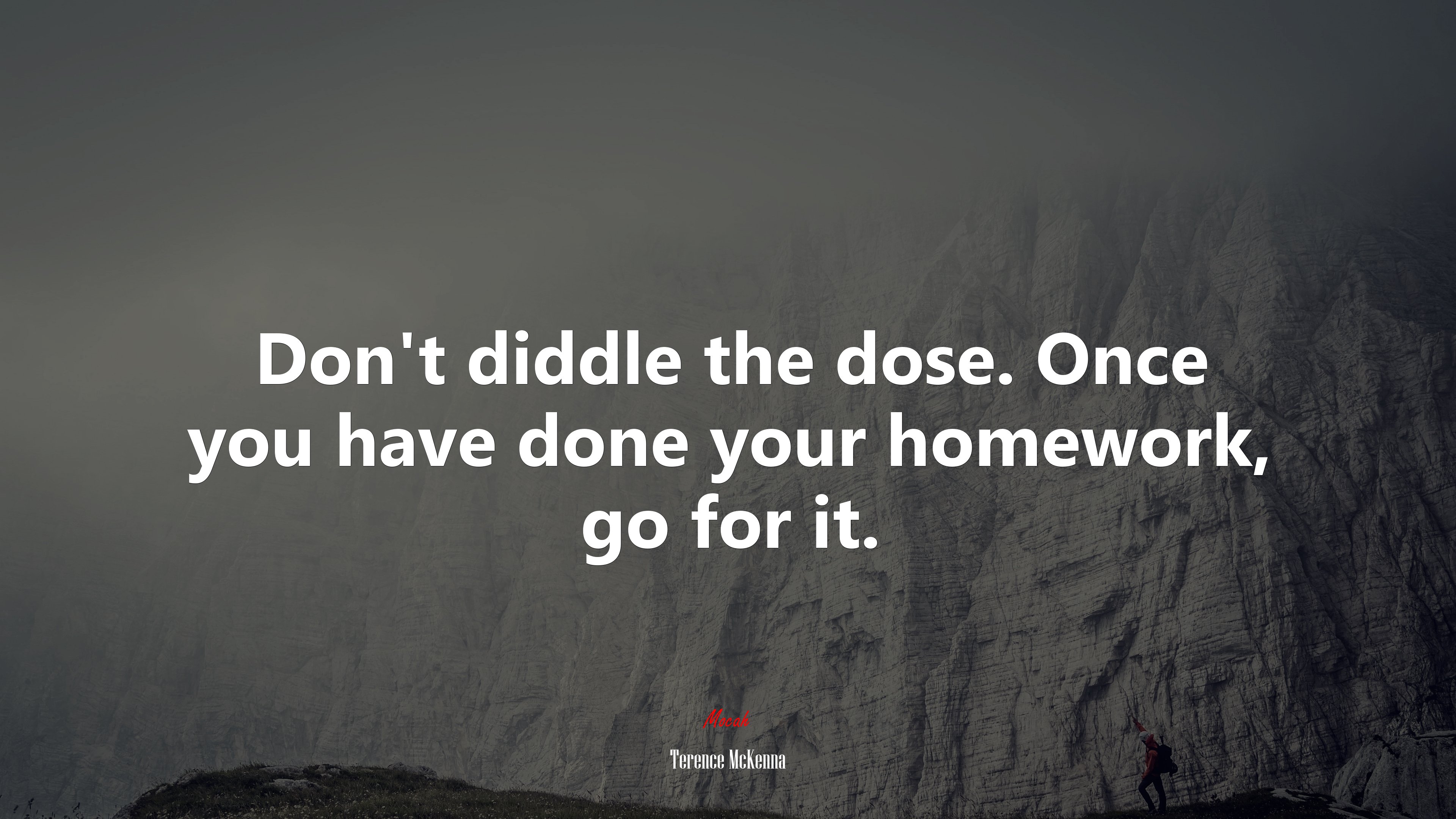 Don’t diddle the dose. Once you have done your homework, go for it. | Terence McKenna quote HD Wallpaper