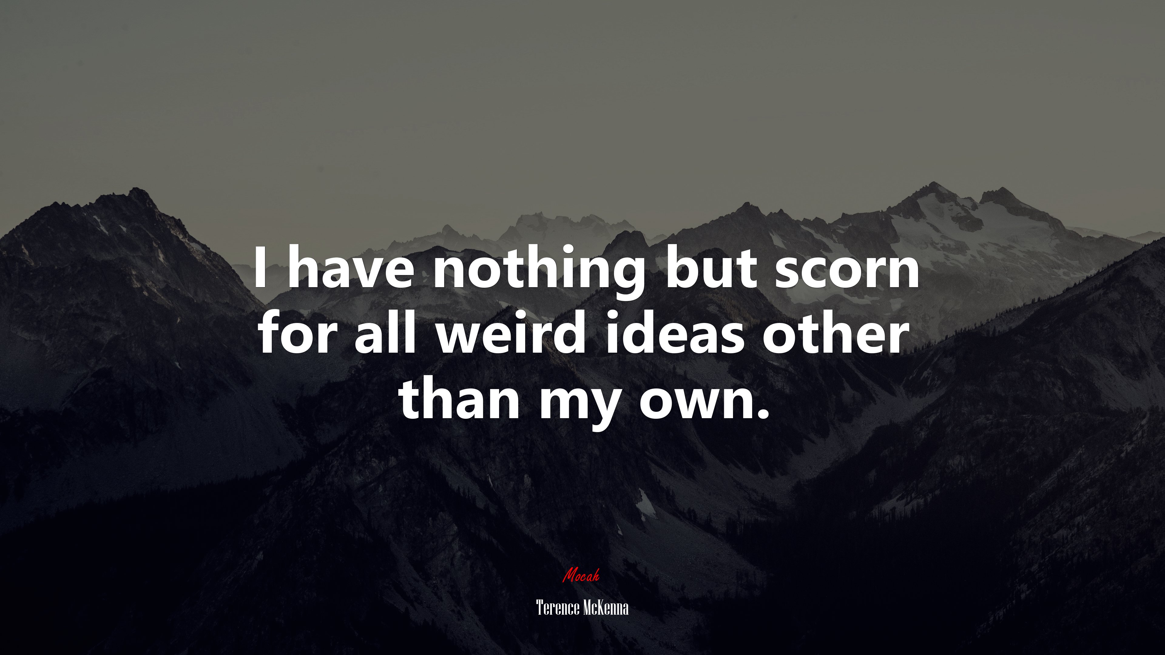 I have nothing but scorn for all weird ideas other than my own. | Terence McKenna quote HD Wallpaper