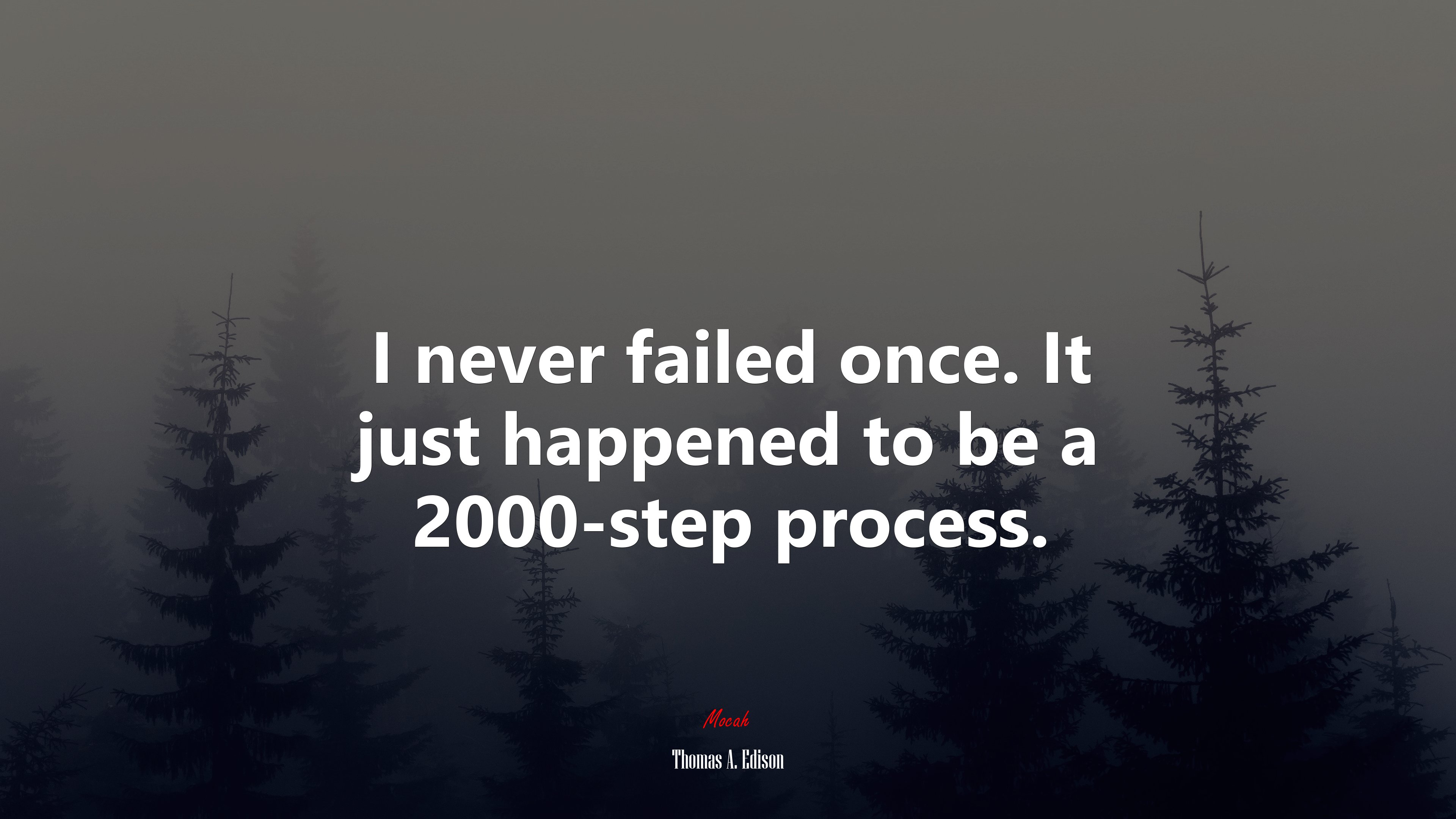 I never failed once. It just happened to be a 2000-step process. | Thomas A. Edison quote HD Wallpaper