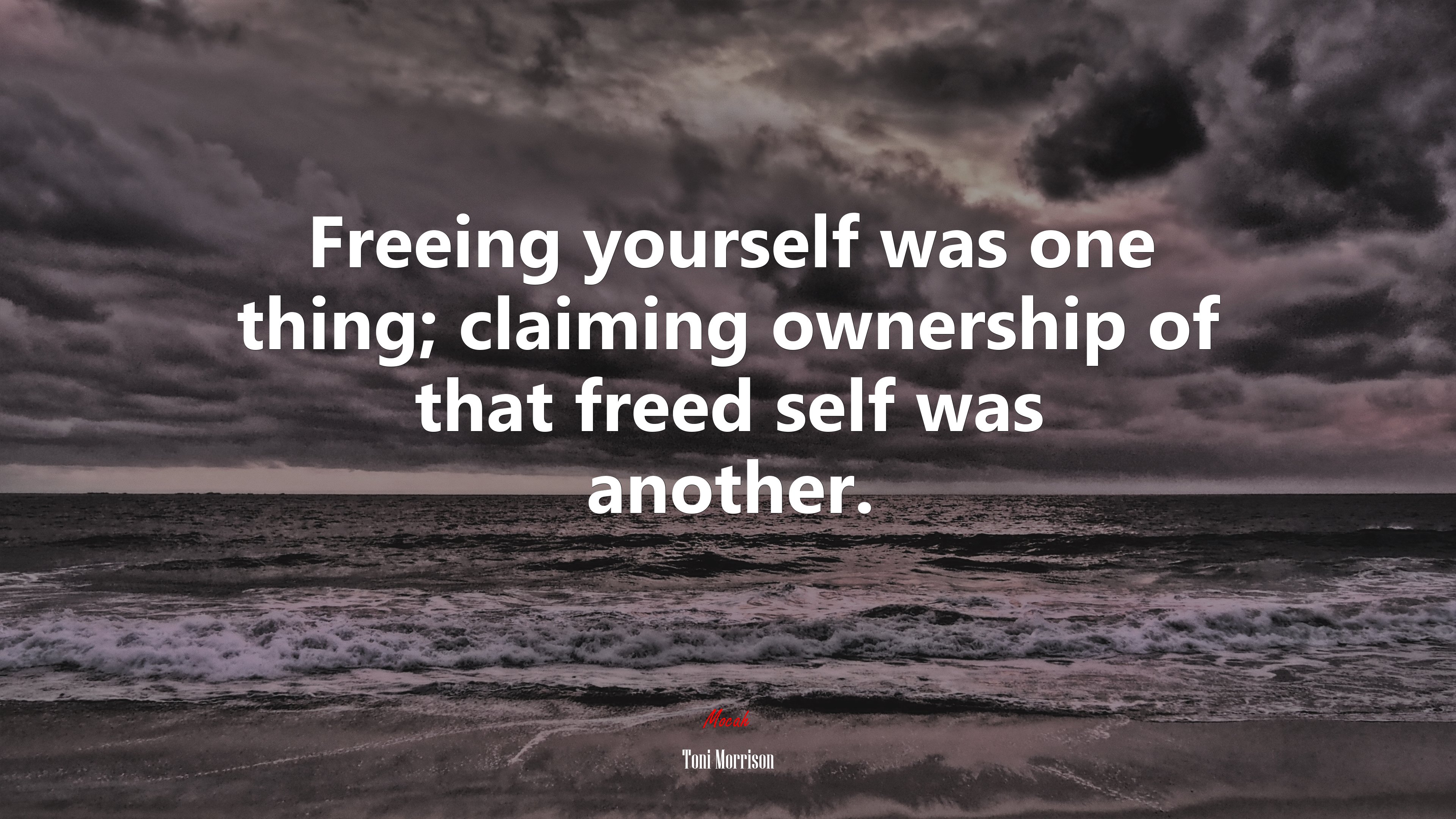 Freeing yourself was one thing; claiming ownership of that freed self was another. | Toni Morrison quote HD Wallpaper