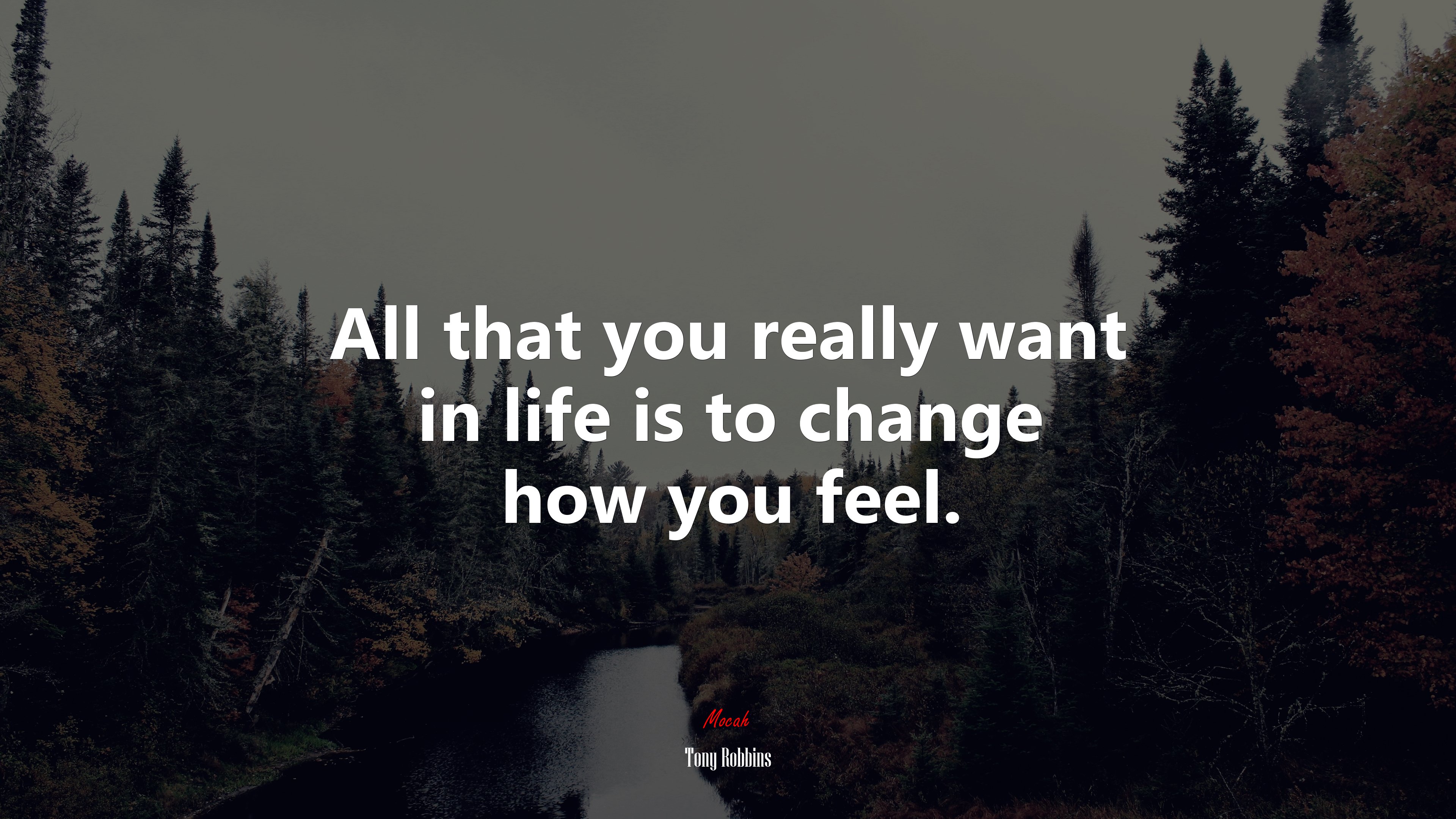 All that you really want in life is to change how you feel. | Tony Robbins quote HD Wallpaper