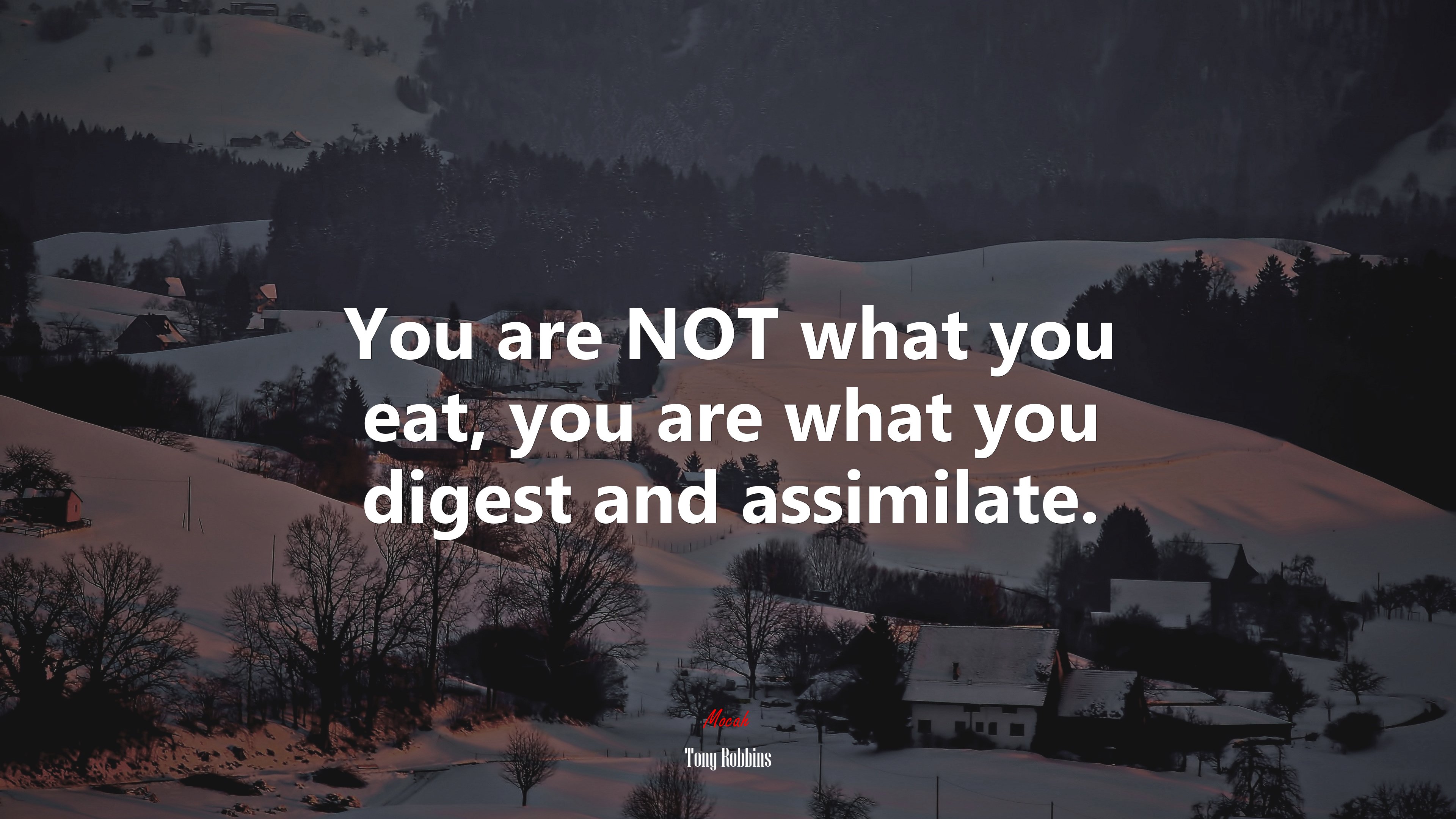 You are NOT what you eat, you are what you digest and assimilate. | Tony Robbins quote HD Wallpaper